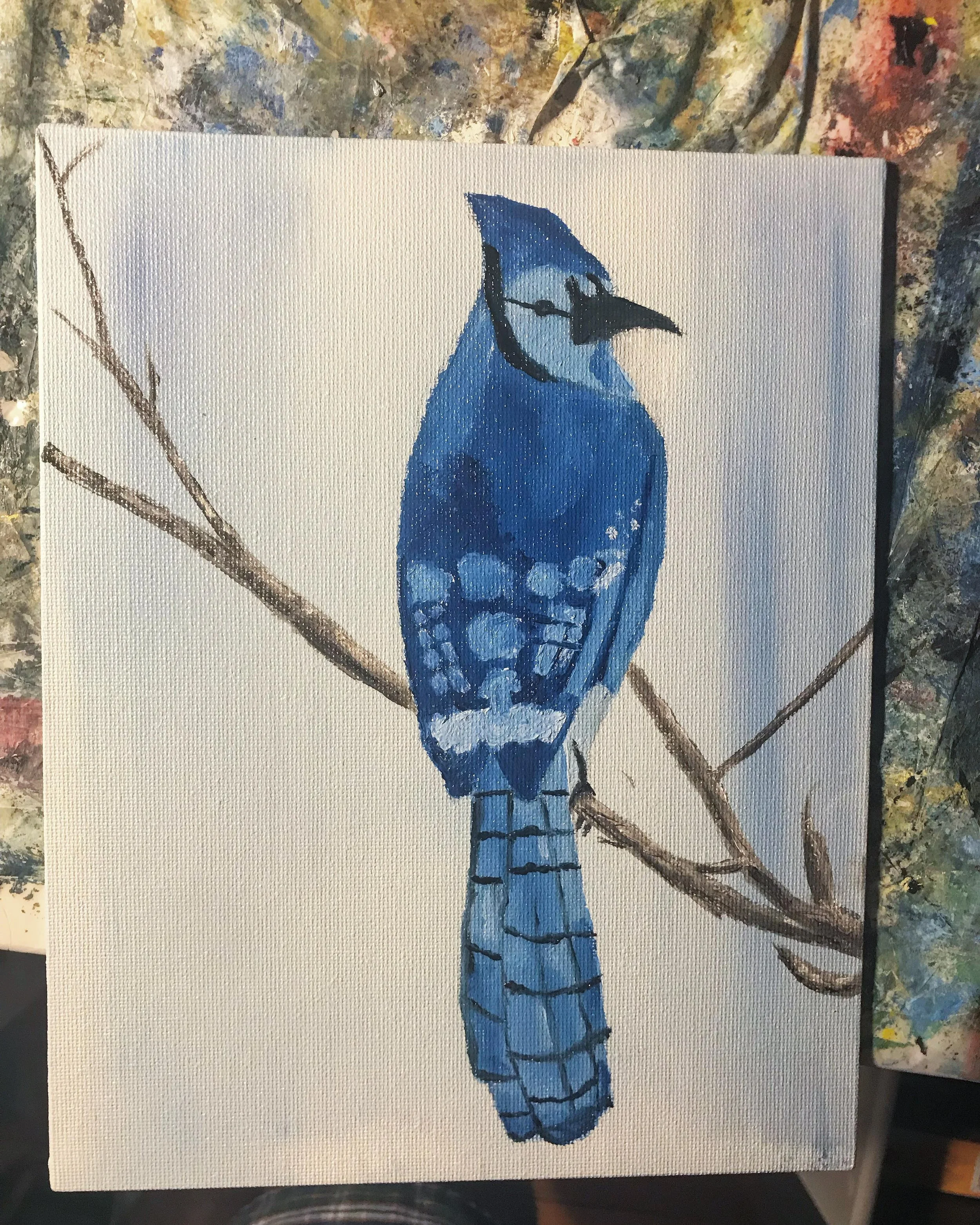 A painting of a blue jay perched on a branch, with a paint-splattered background.