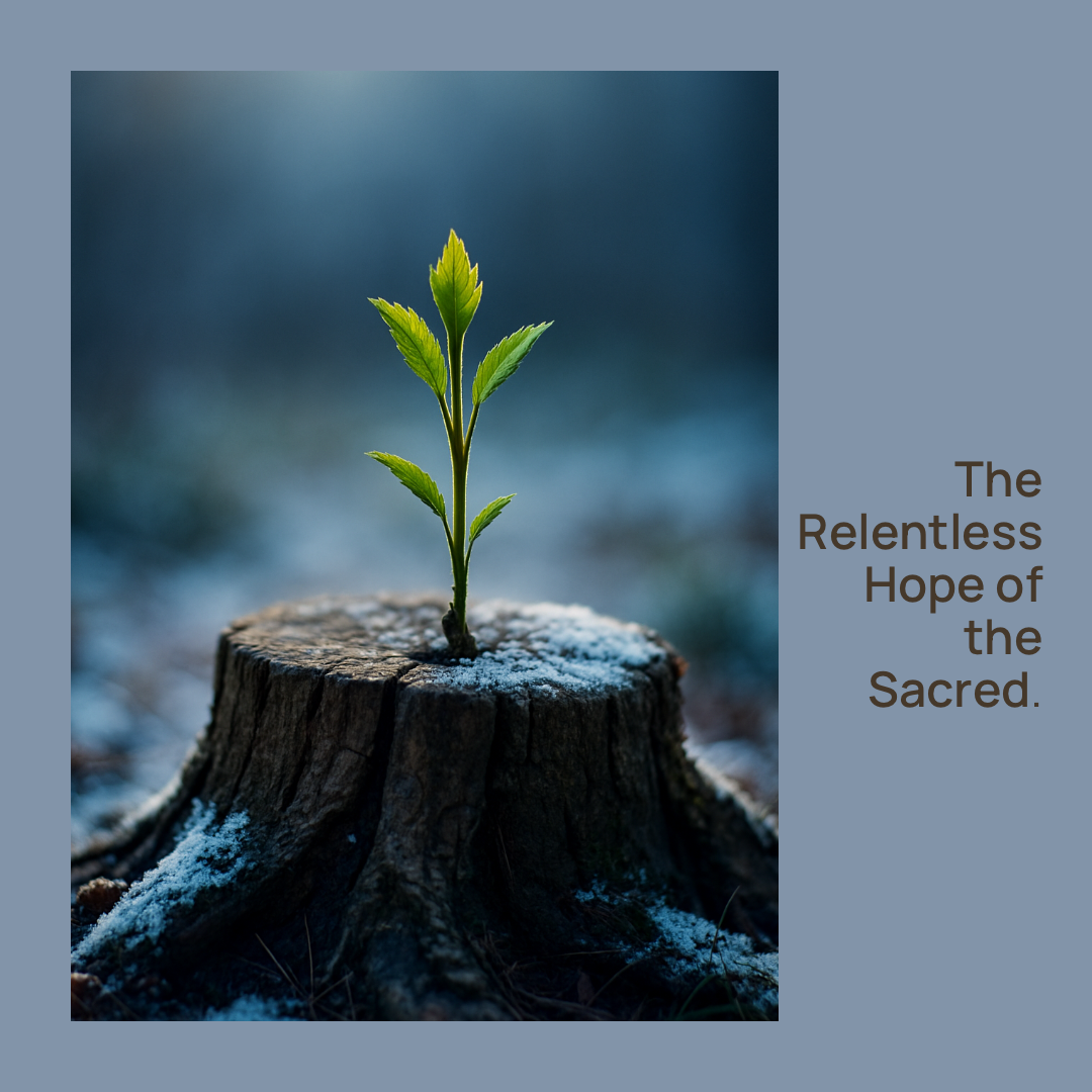 Making Space for the Dream — Advent 2