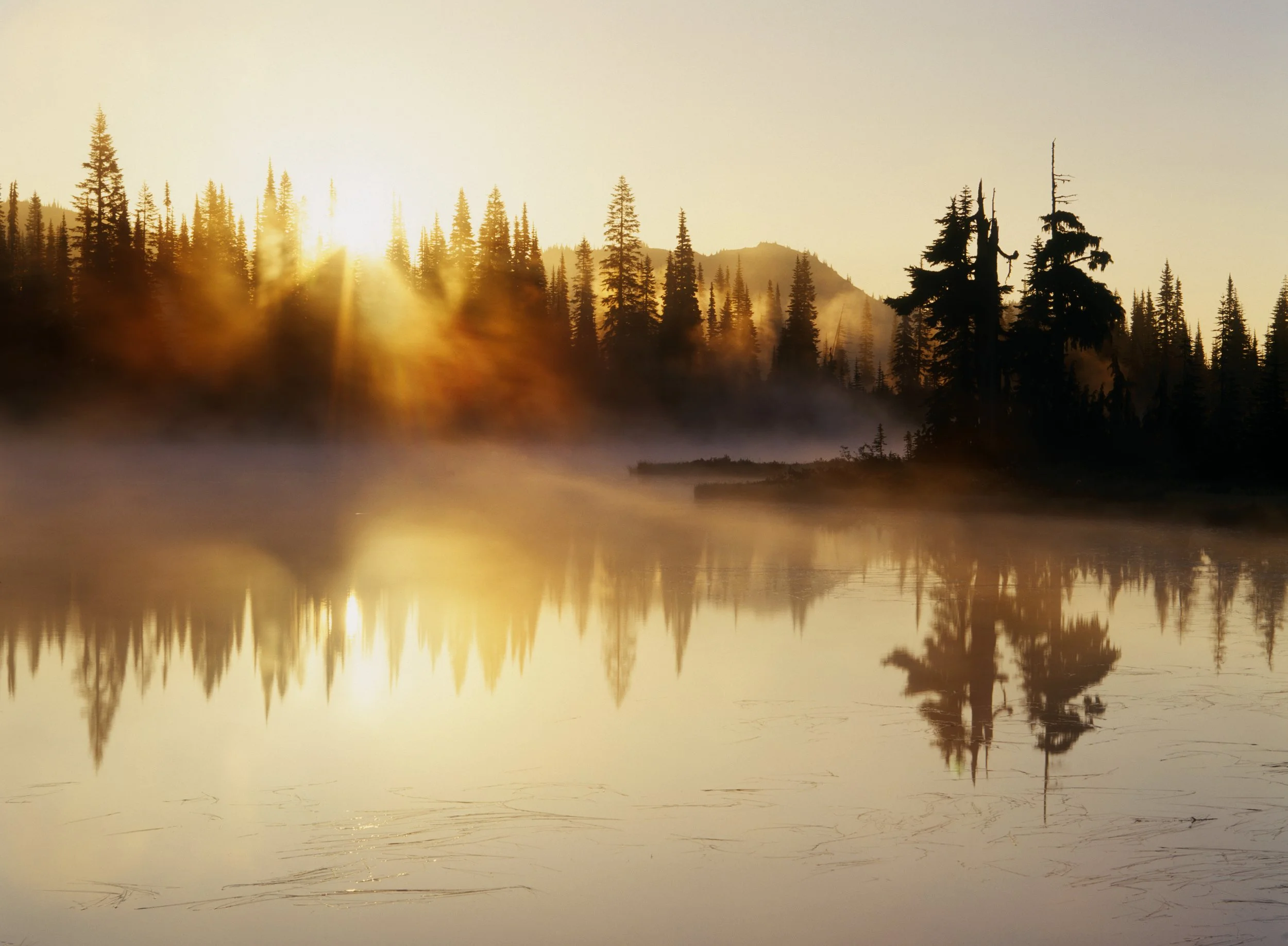 Wake Up. Let Go. Choose Life.