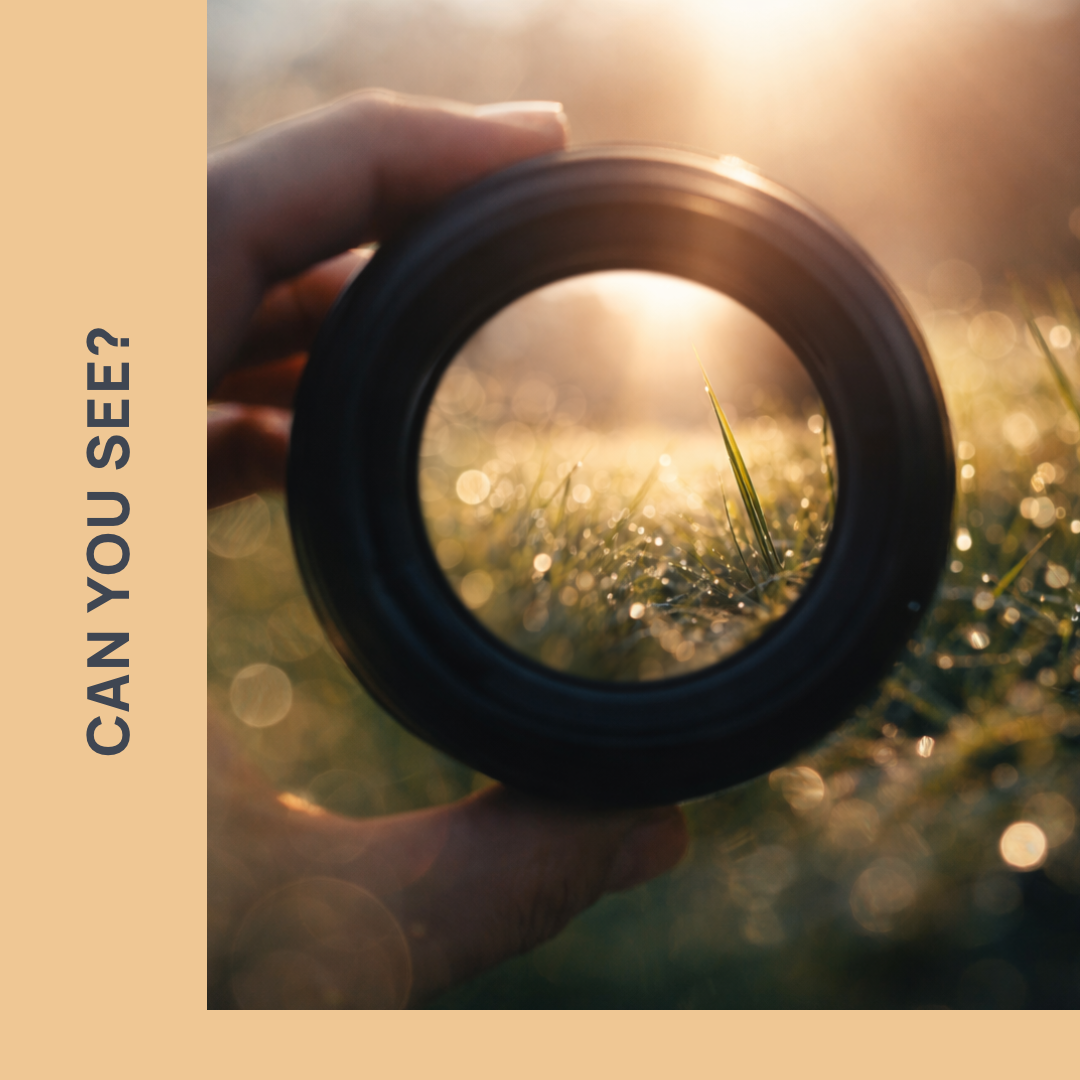 Meditation: From Blame to Seeing