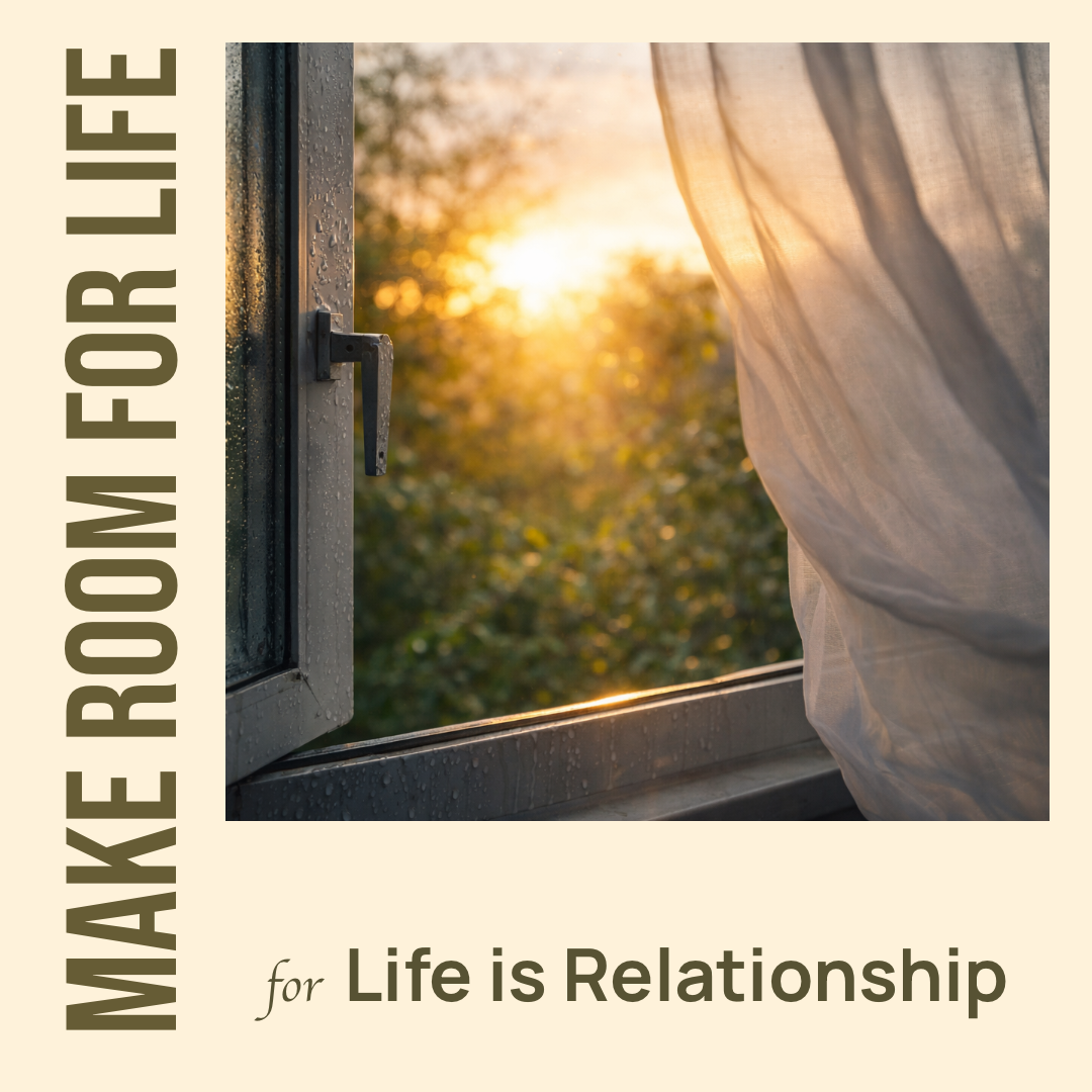 Meditation: Life Is Relationship
