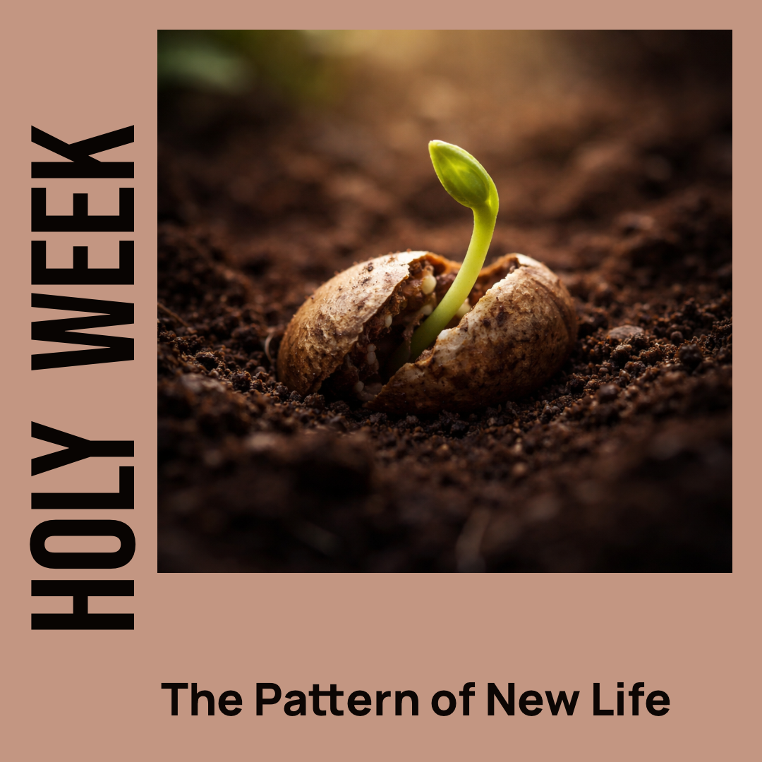 Meditation: Holy Week and the Pattern of New Life