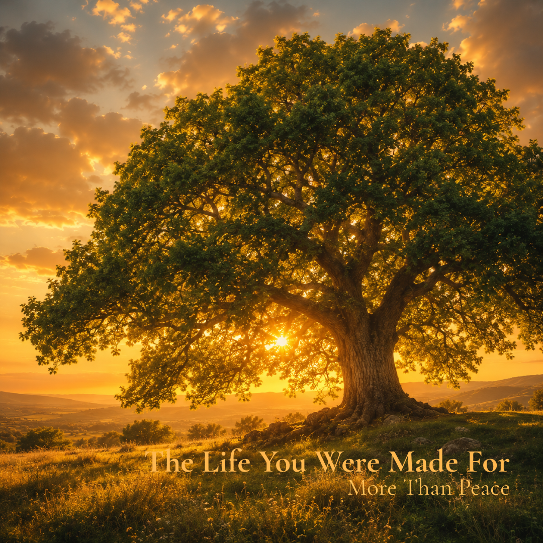The Life You Were Made For - More Than Peace