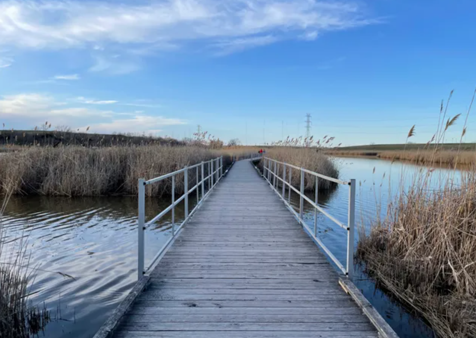 Lyndhurst DeKorte Park