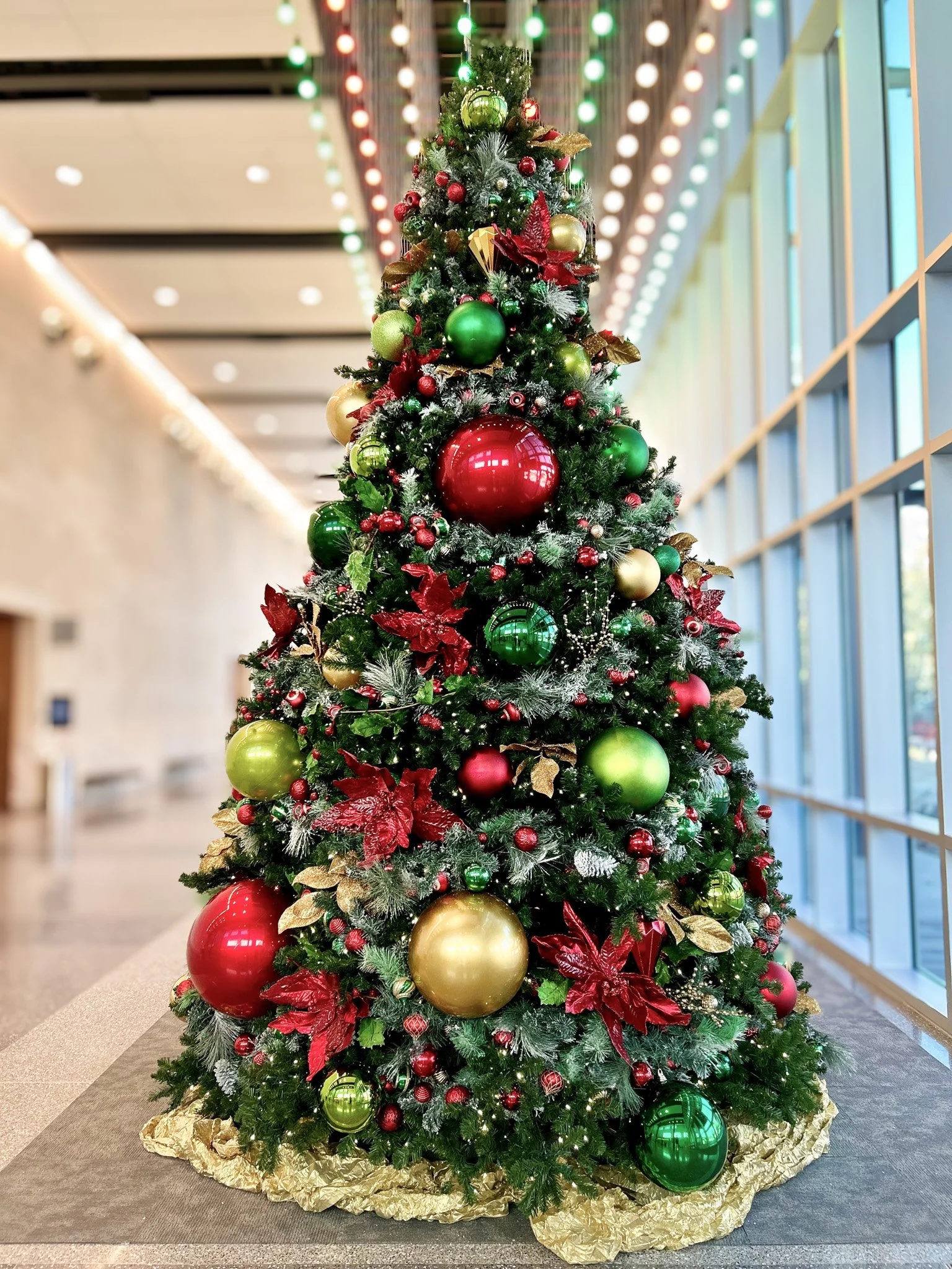 Christmas Tree.jpg