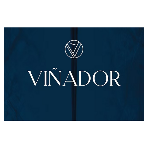 Logo with a circle containing a stylized 'V' and the word 'VIÑADOR' in large white letters on a dark blue background.