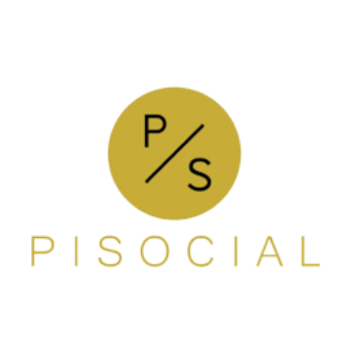 A logo featuring the letters P and S inside a yellow circle, with the word 'PROFESSIONAL' partially visible below in colorful text.