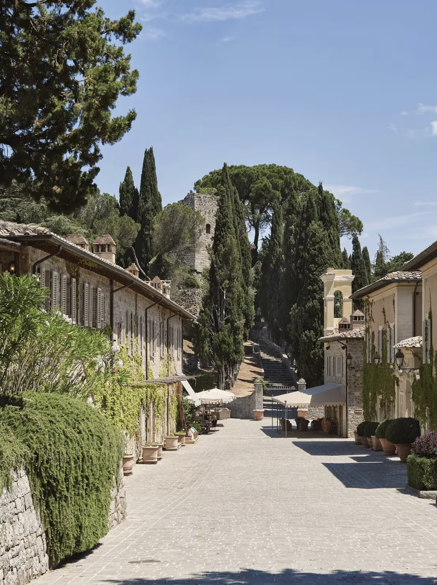 Stone pathway and cypress trees at Rosewood Castiglion del Bosco in Tuscany with quote about warm, lived-in interiors.