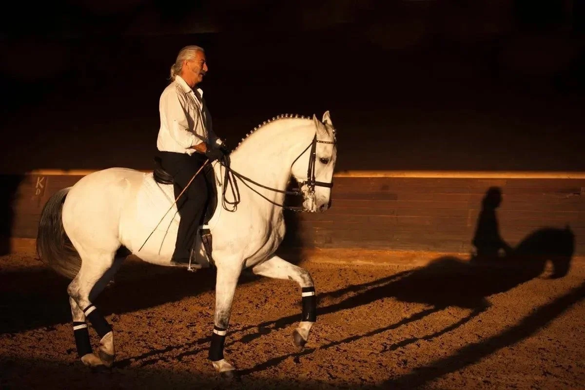 Dominique Barbier Clinic + EquiPhysics Demos