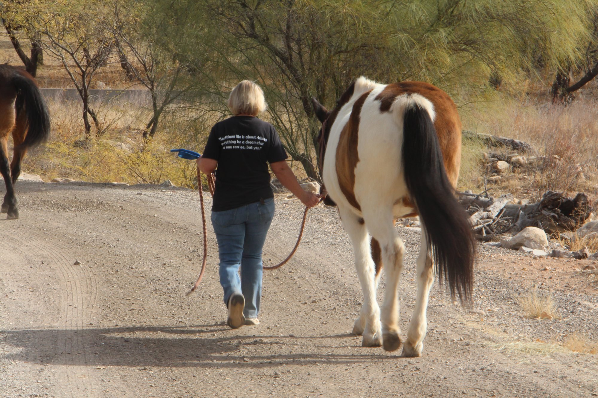 Walking Gracie back along the lane after a session.