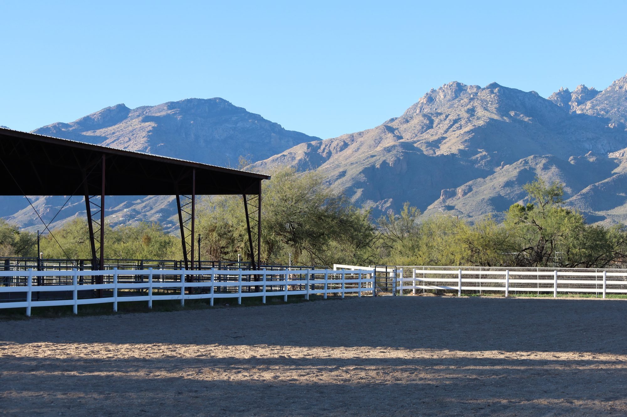 The arenas at the Al-Marah Equine Center, where our gait and heart-rate work began.