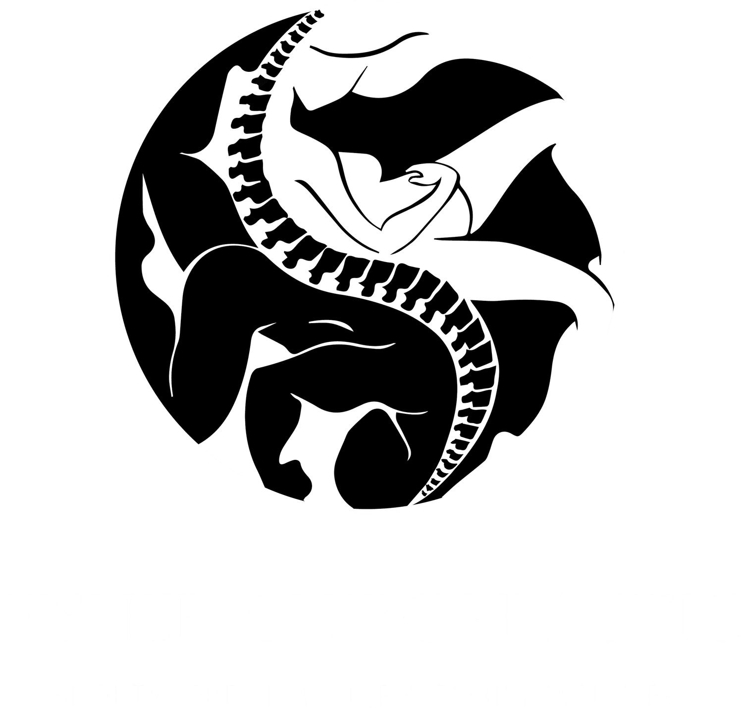 Fisher Chiropractic Sport &amp; Wellness