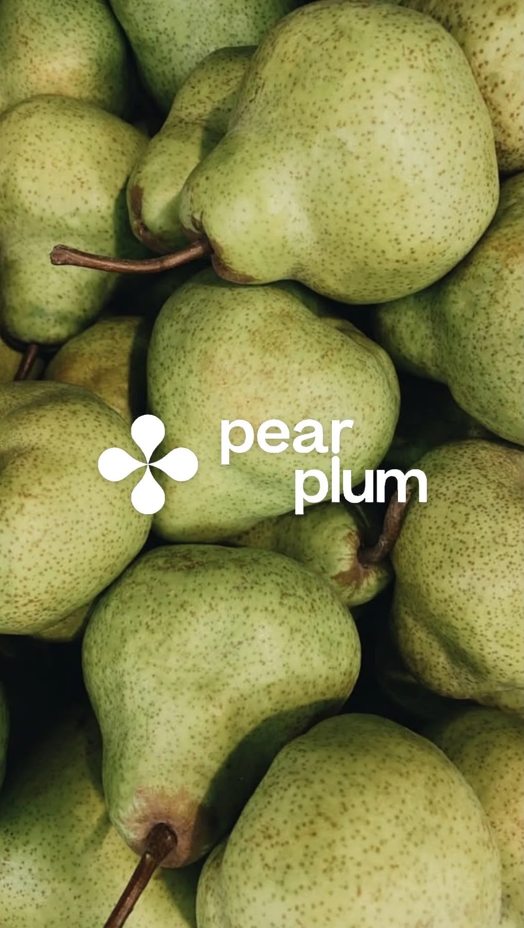 pear plum logo pear.JPG
