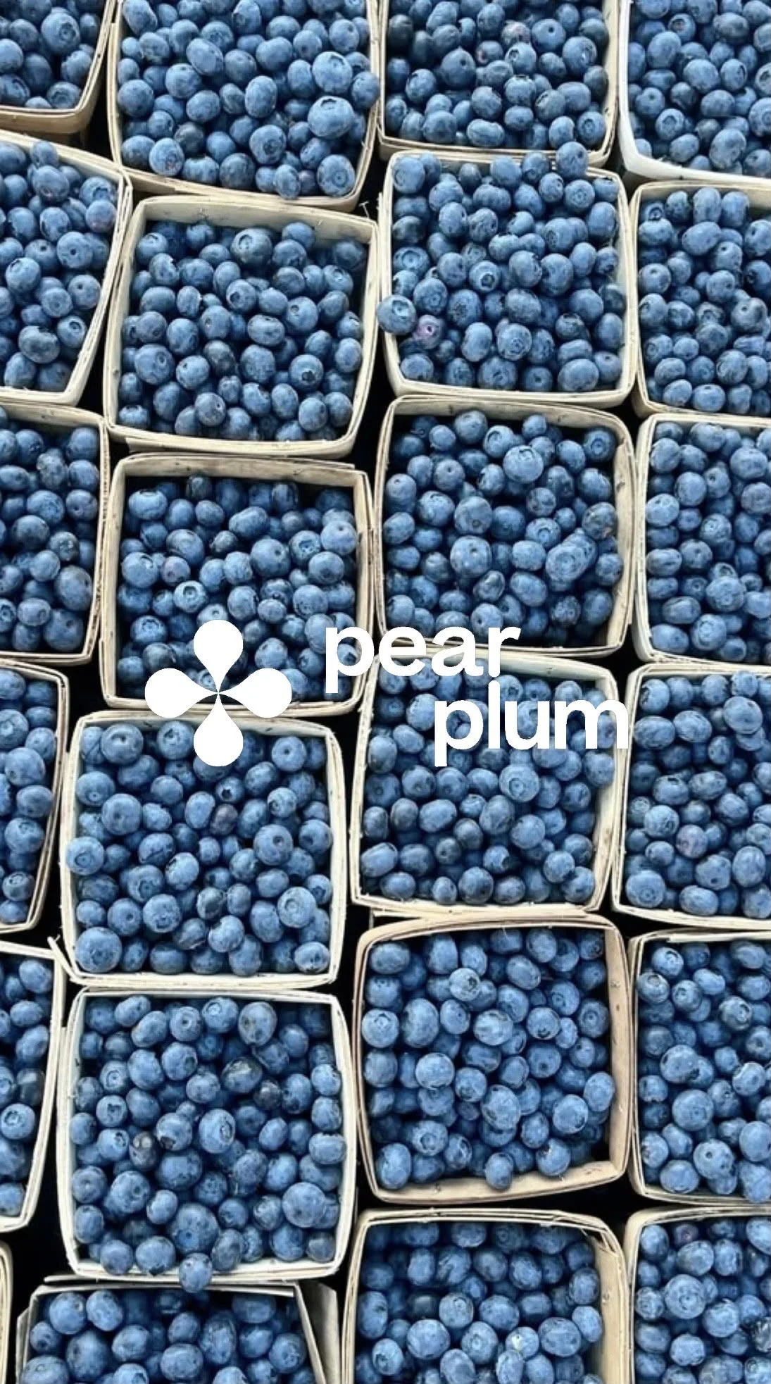 Pear plum logo blueberry.JPG