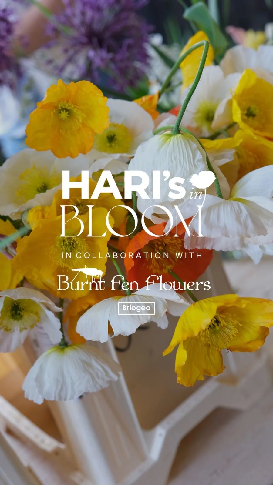 Burnt Fen Flowers X HARI's in Bloom