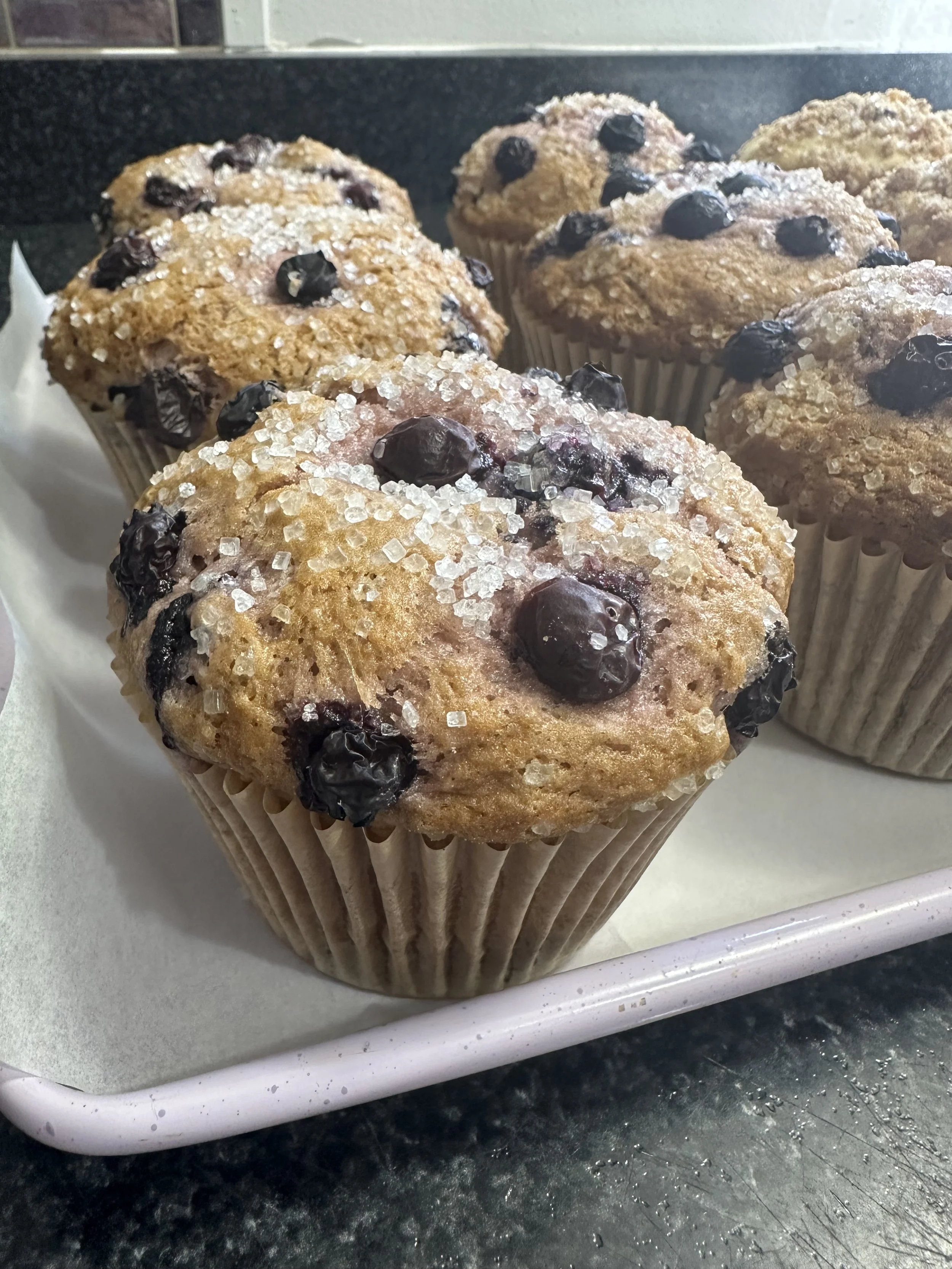 Blueberry Muffins