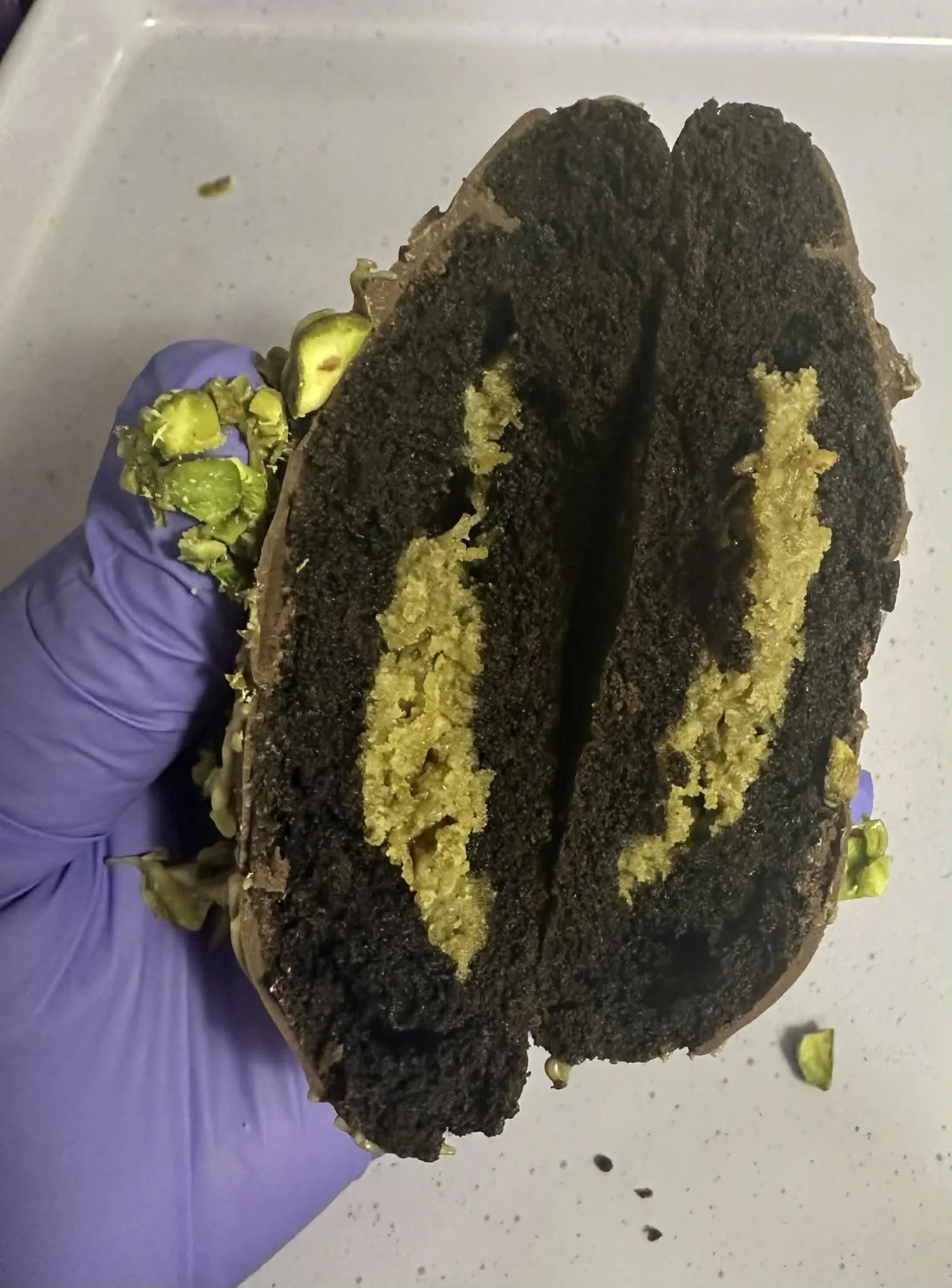 cf9a4545-d3d3-44b5-9665-69345f7adbbd (1).jpg