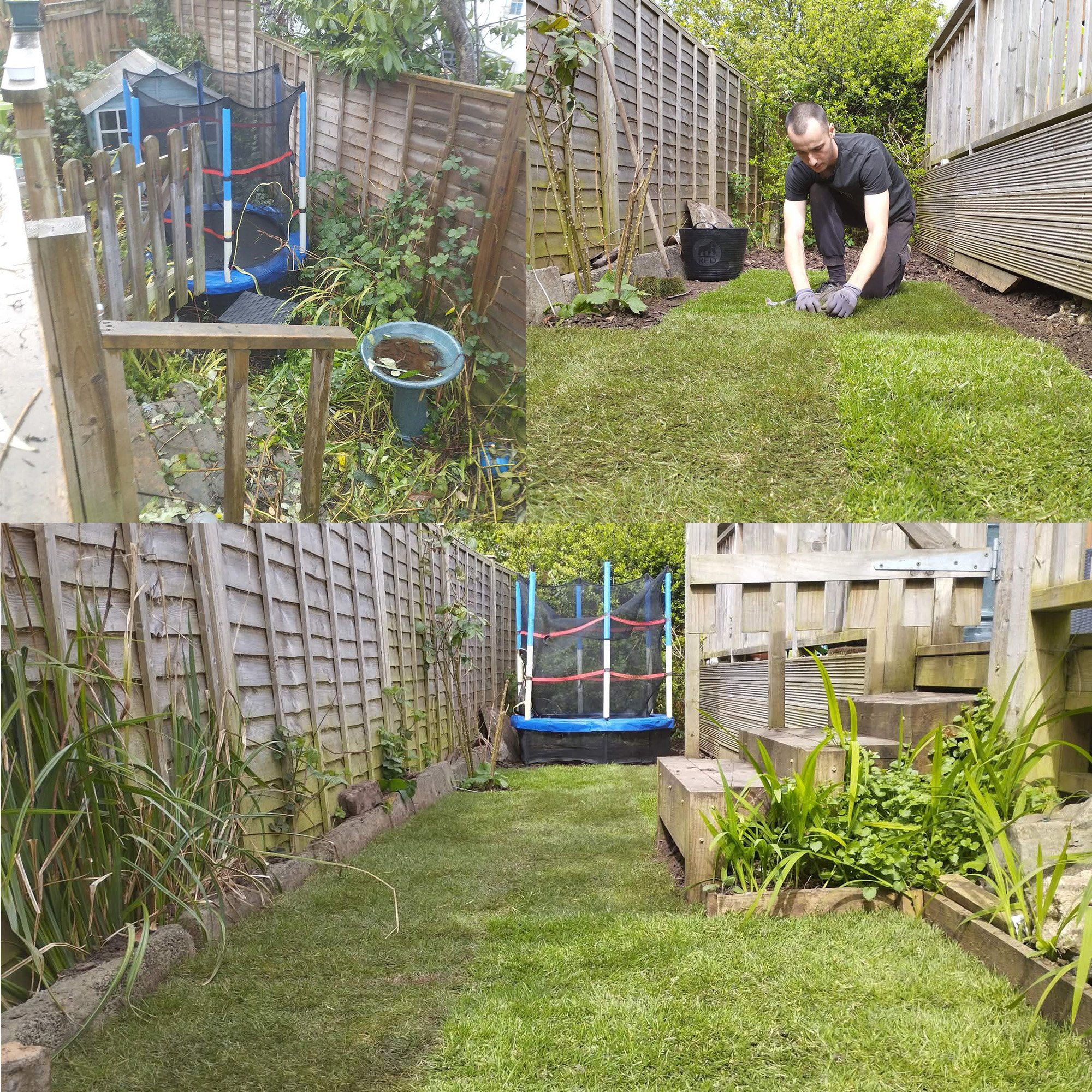 Turfing 2.jpg