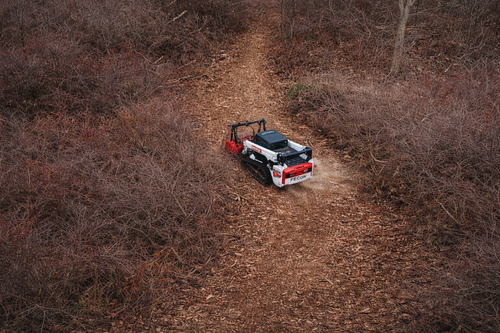 Trail cutting and property access clearing