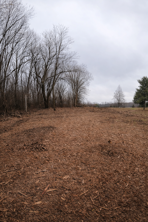 Forestry mulched land opened up for new use