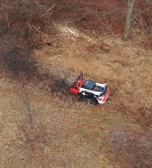 Cleaned fence line after brush and trees were mulched