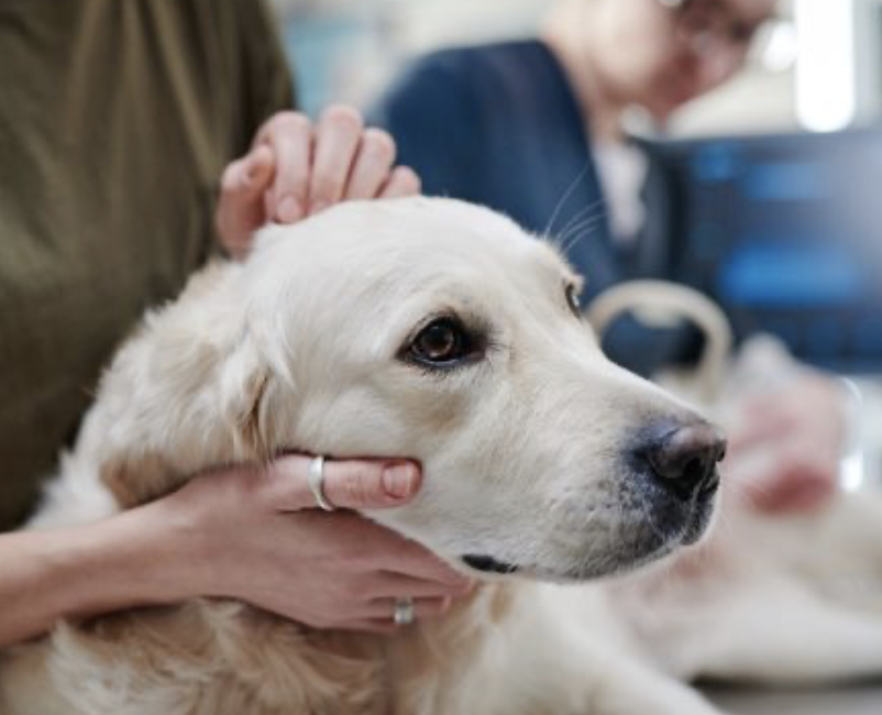 Snímek obrazovky 2025-11-09 v 12.27.24.png