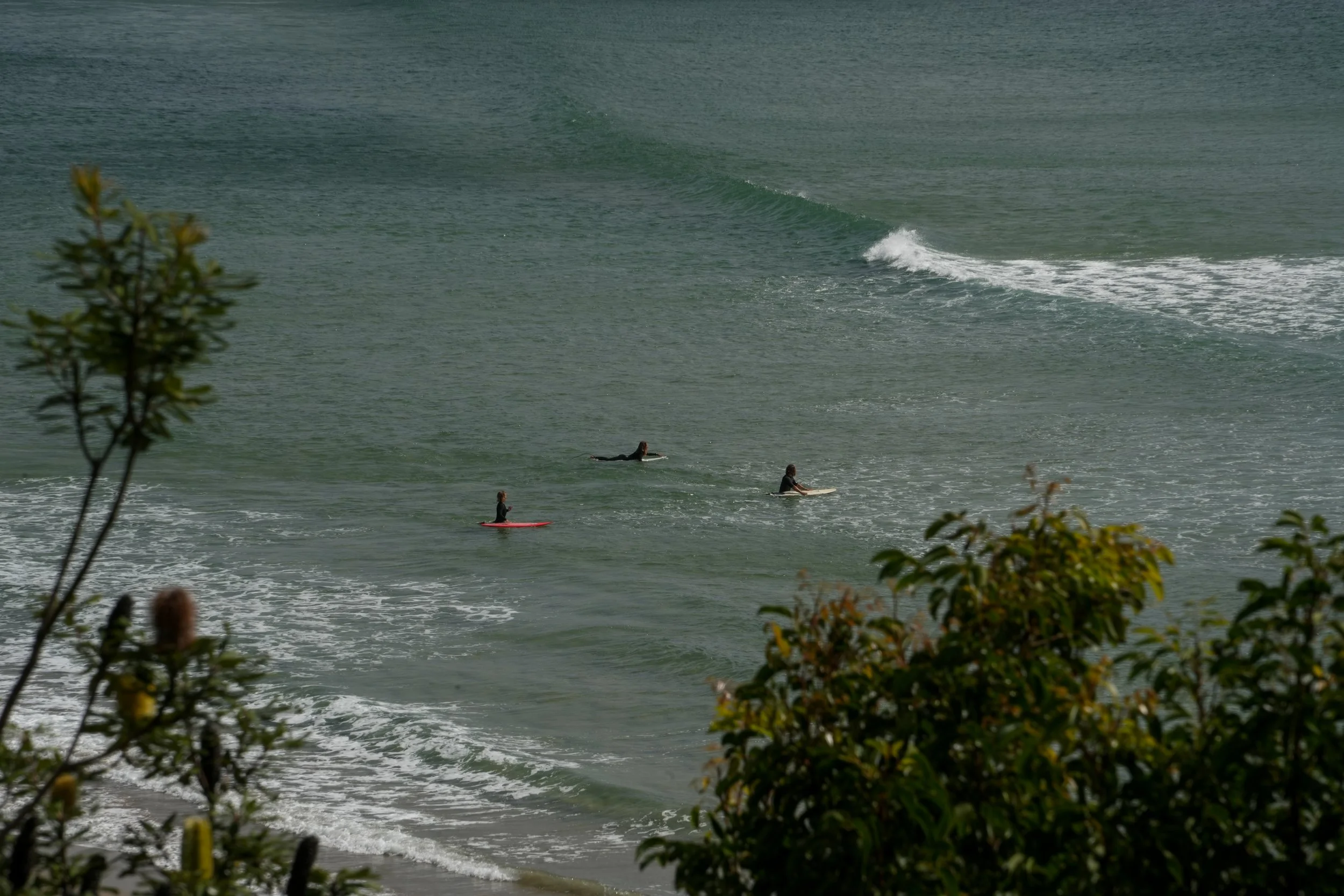 DSC02126.jpg