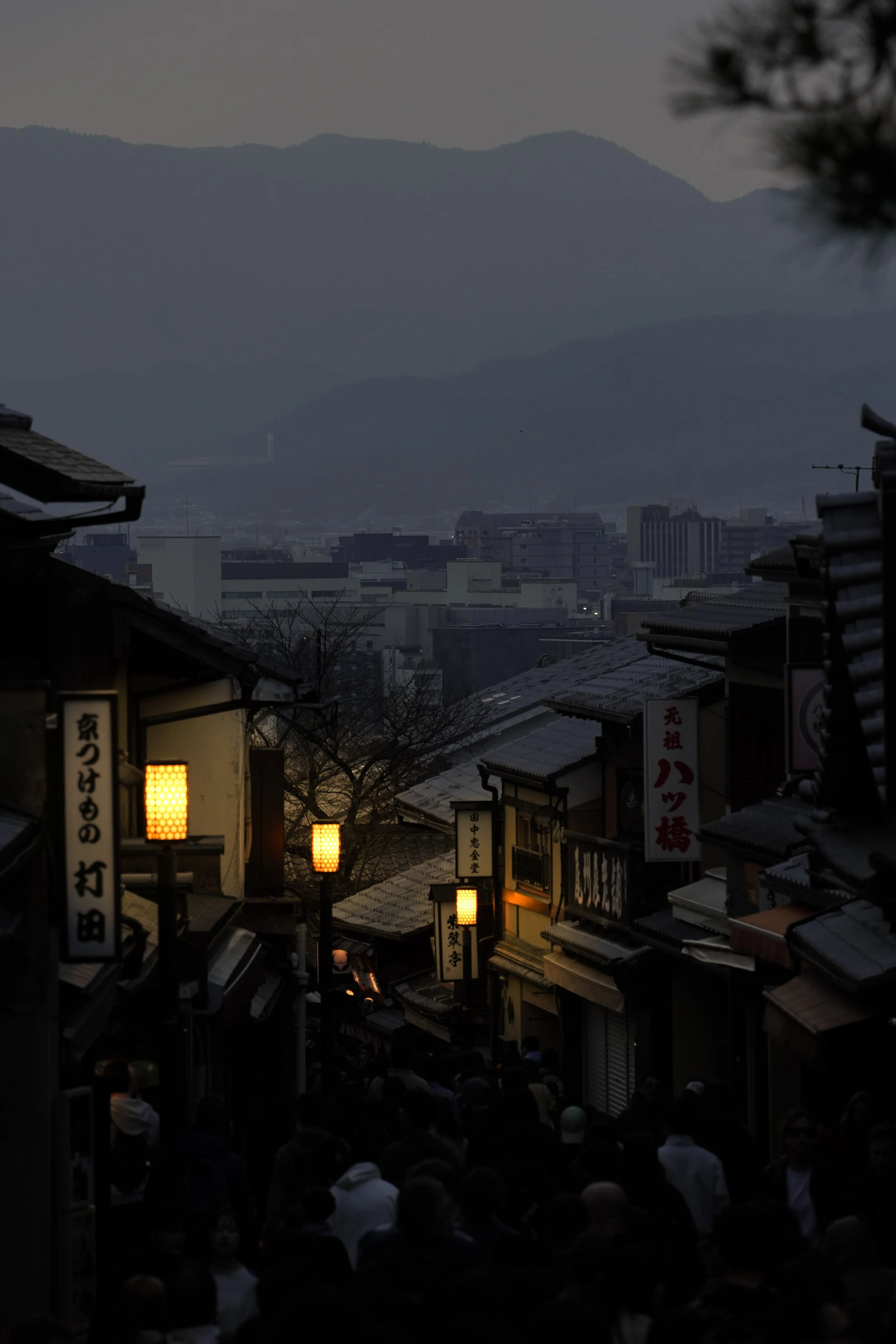 DSC08929.jpg