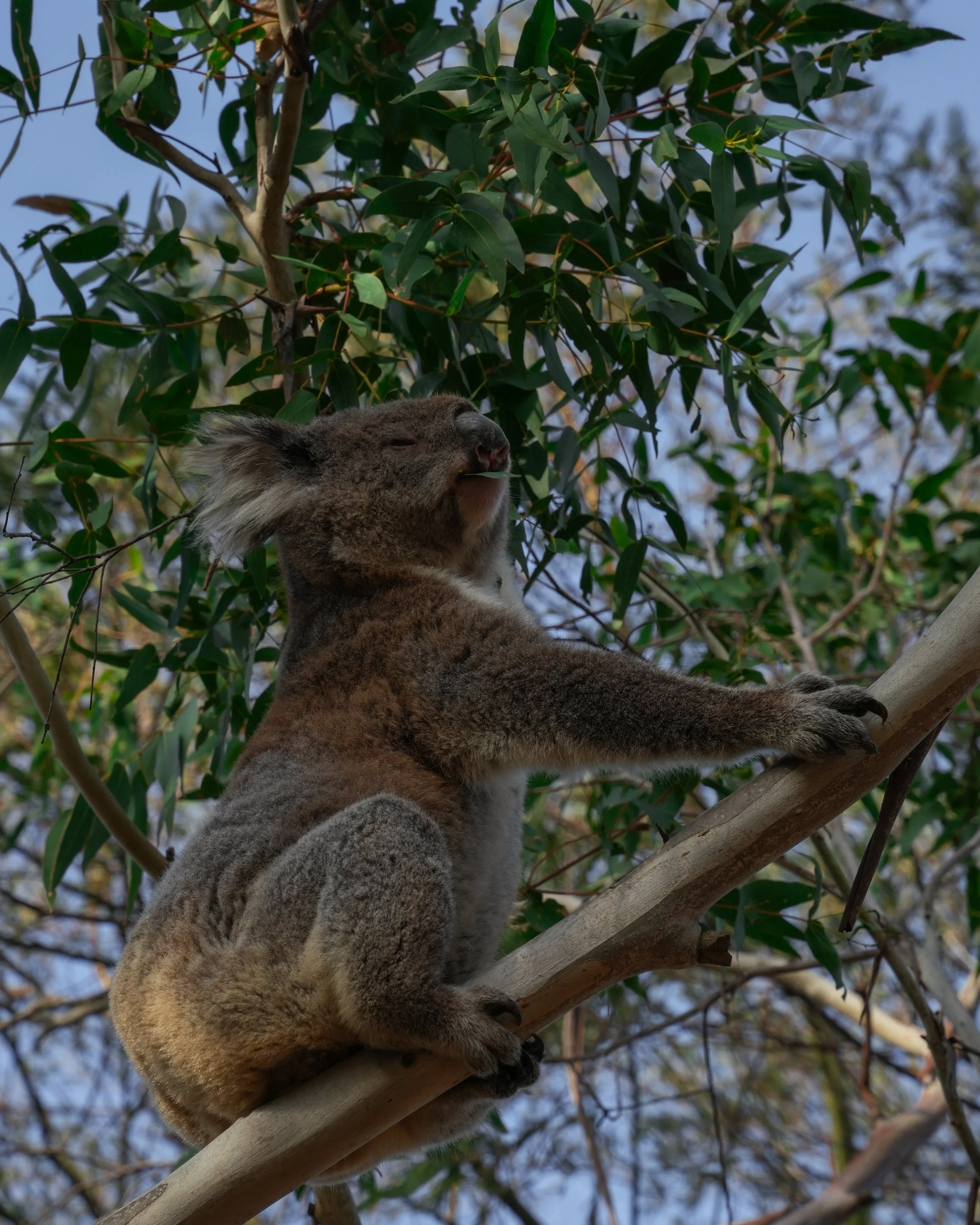DSC01224-2.jpg