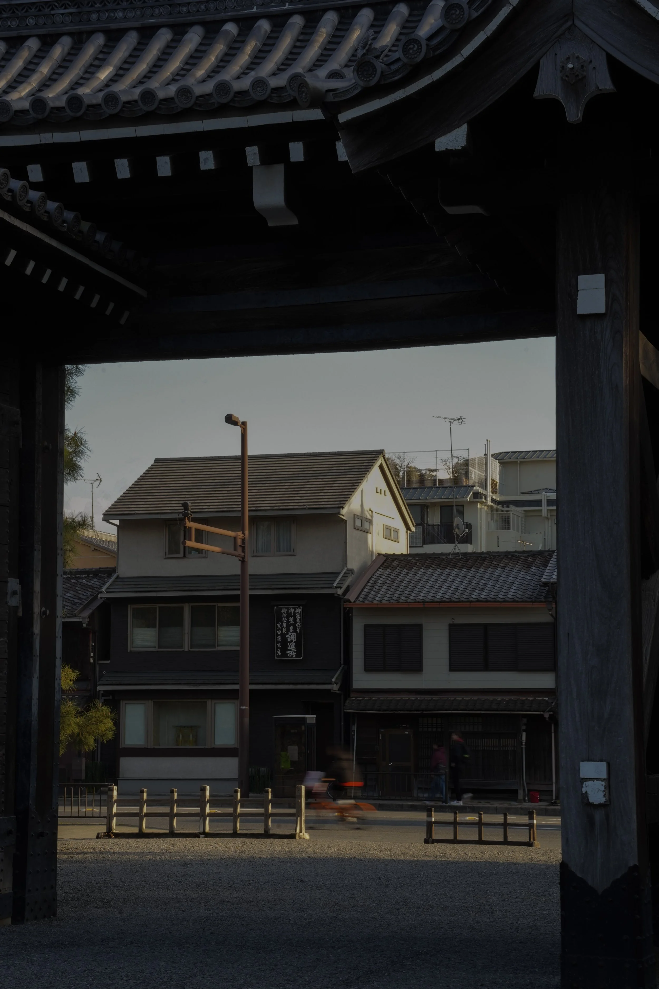 2-DSC08668.jpg
