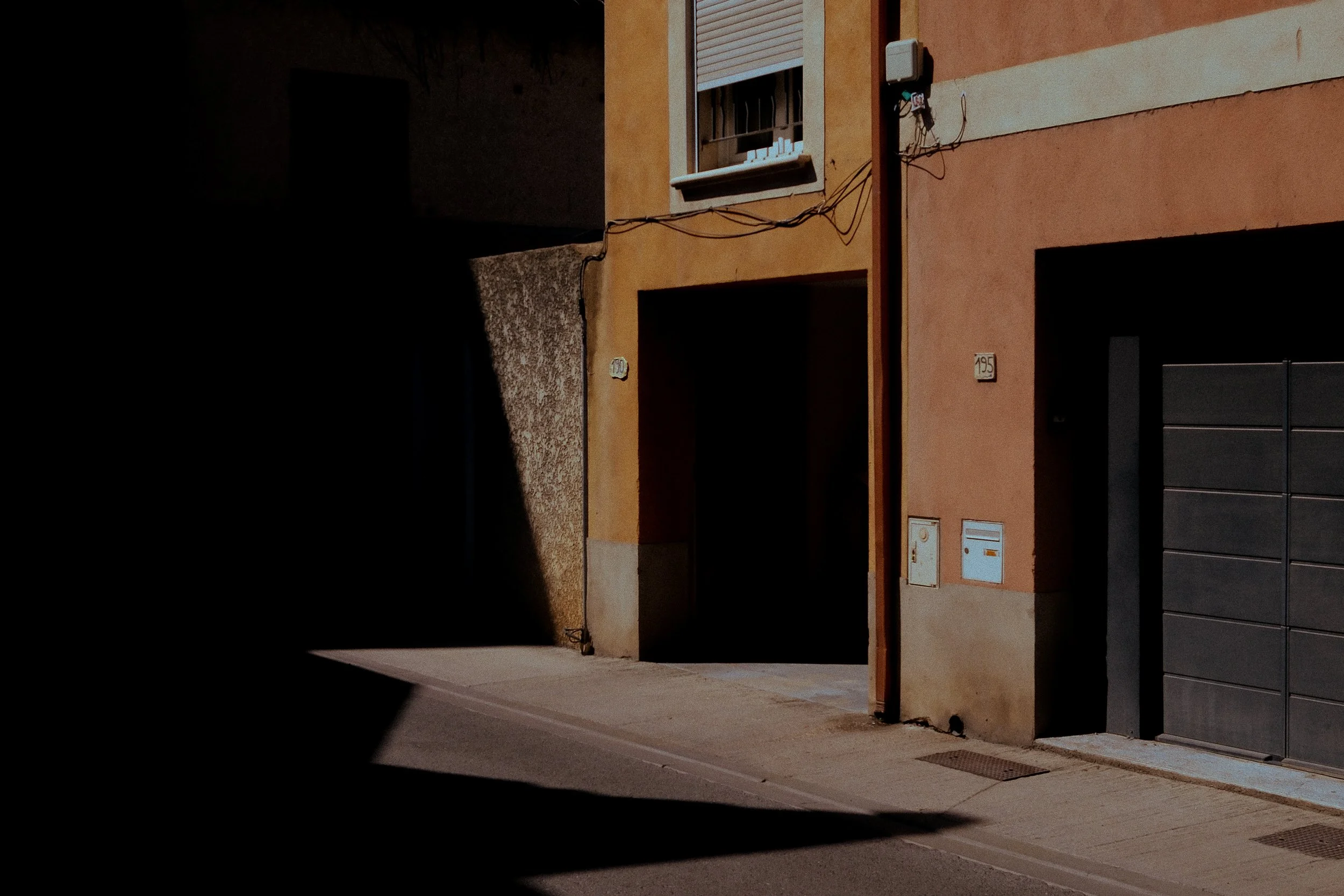 Camargue, France. 2025. 