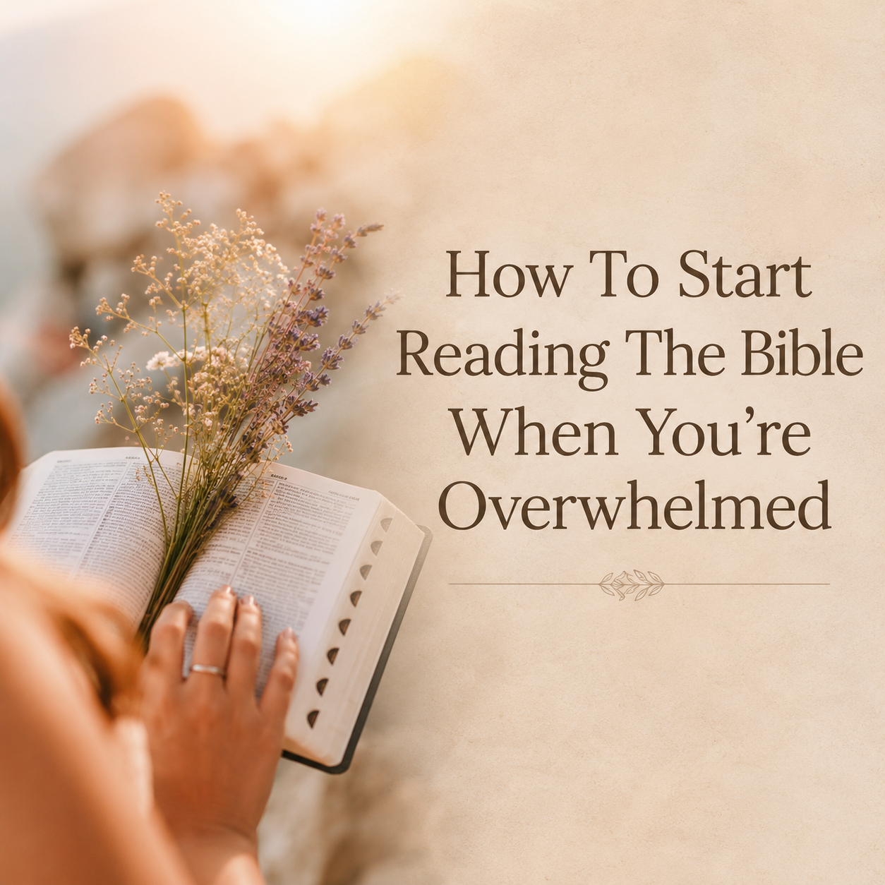 How To Start Reading the Bible When You’re Overwhelmed