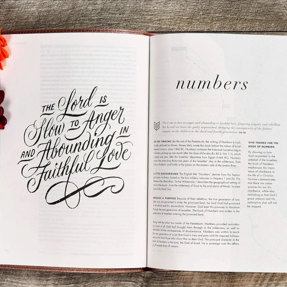 Open book displaying titled pages about biblical themes, with decorative script on the left page reading "The Lord is slow to anger and abundant in faithful love," and the right page titled "Numbers".