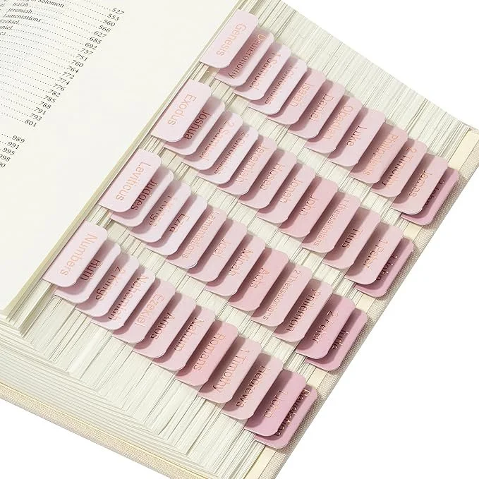 Open file folder with pink labeled tabs for organizing documents, including categories like 'Enzymes,' 'Analysis,' 'EEL,' and 'Numbers.'