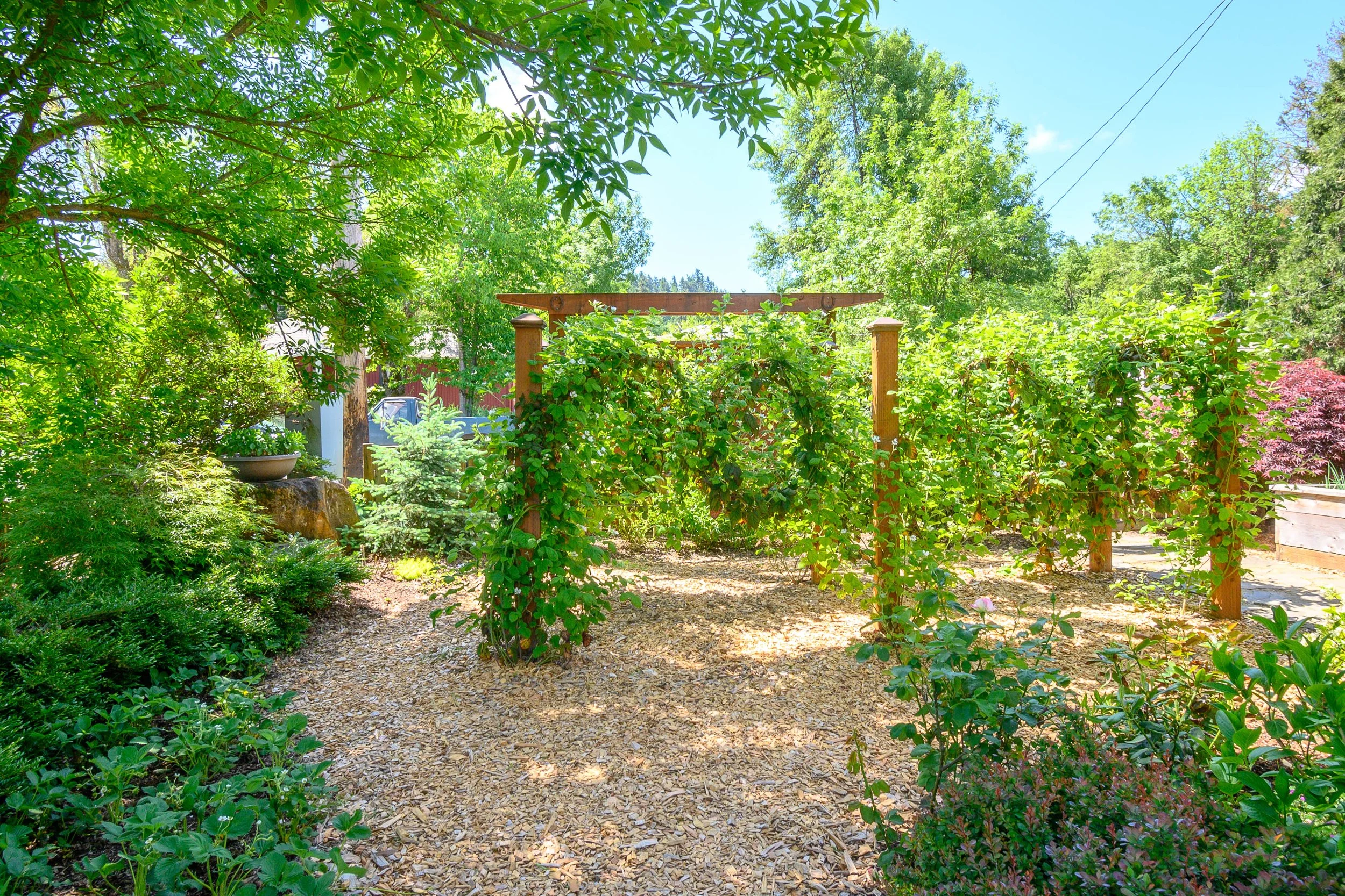 Garden pergola surrounded by greenery and gravel pathway