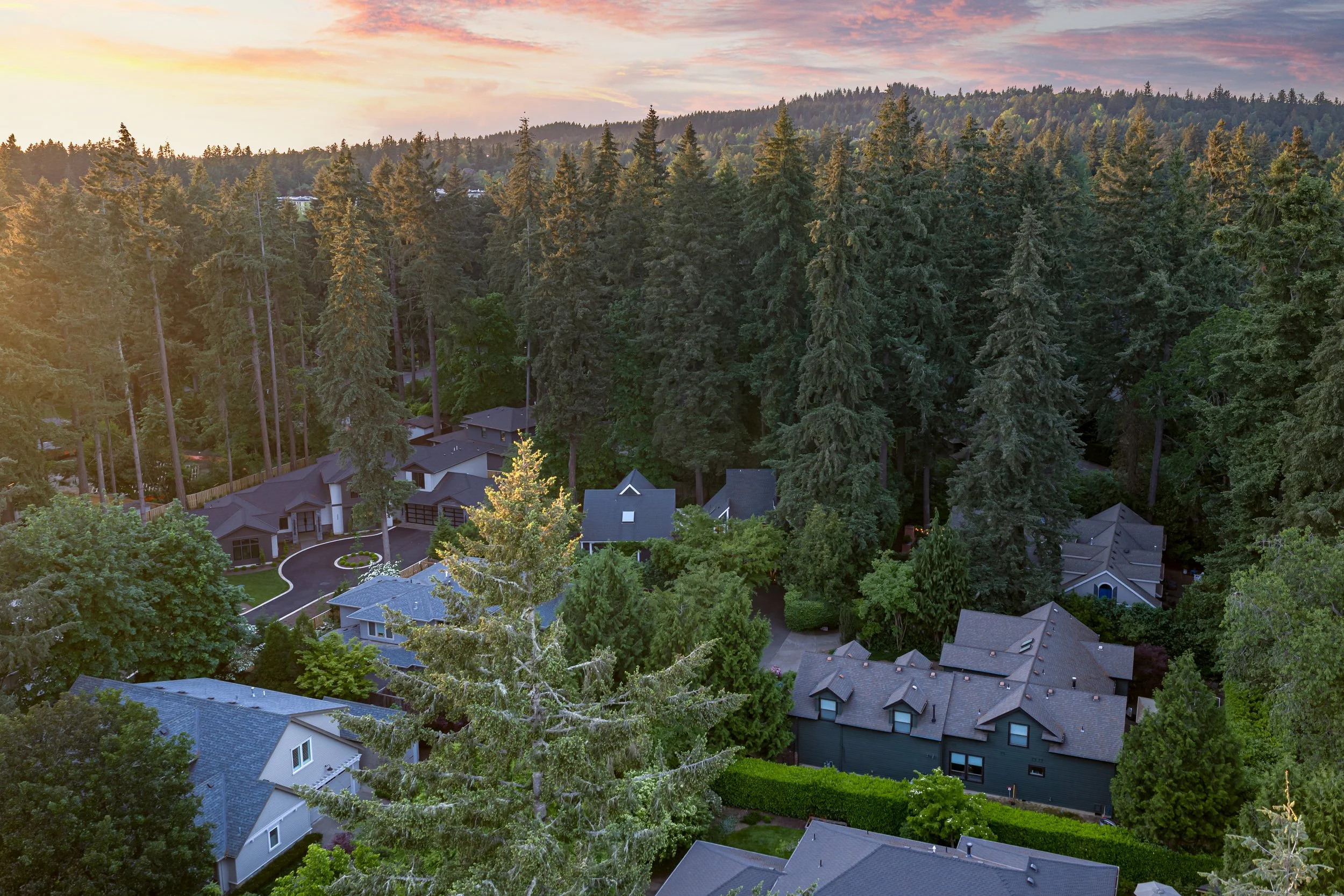 Drone photo of a home in Lake Oswego with a forested backdrop