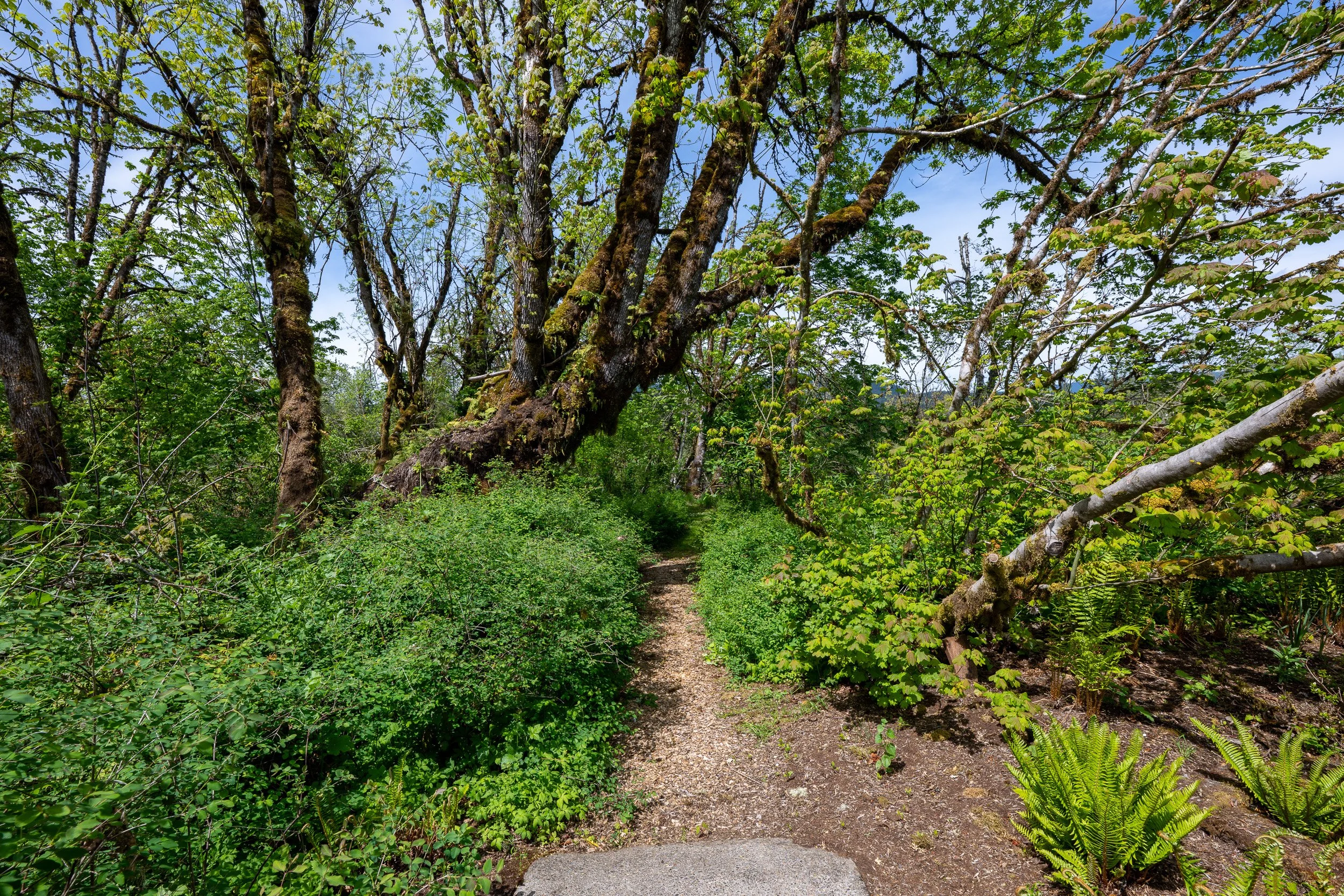 240424 90456 Sunderman Rd - 002.jpg