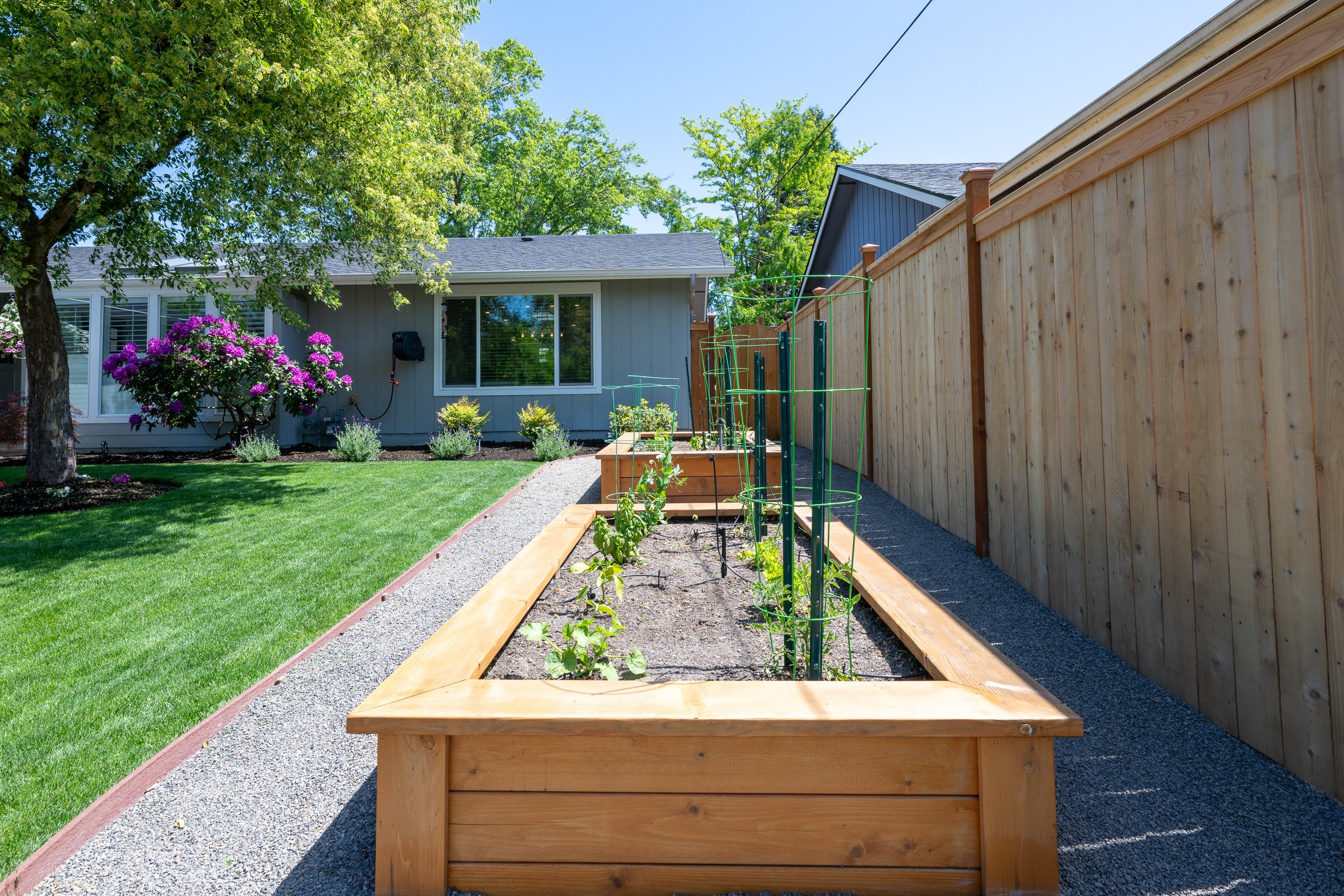 250508 905 Calvin St - 001.jpg