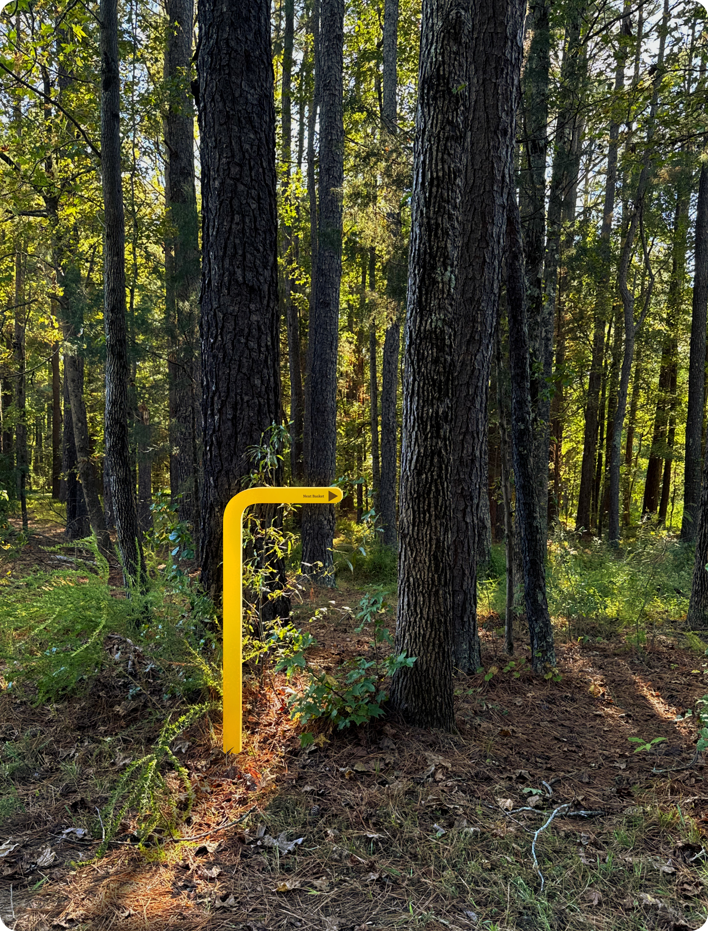 ArrowSign_Yellow_Mockup 1.png