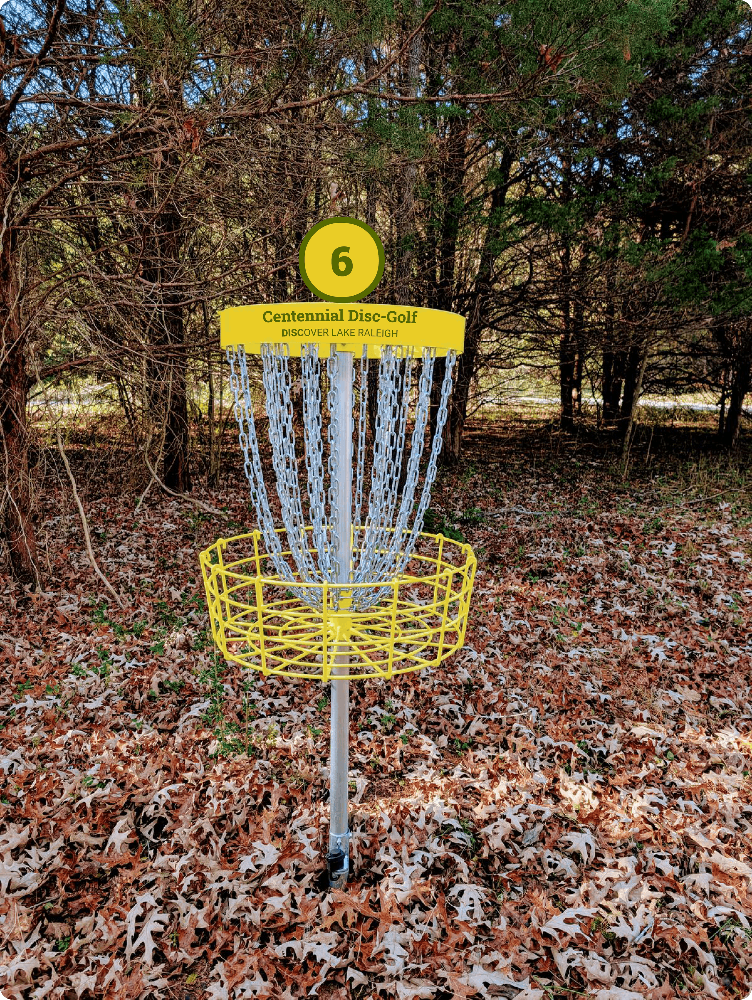 basket-mockup new.png