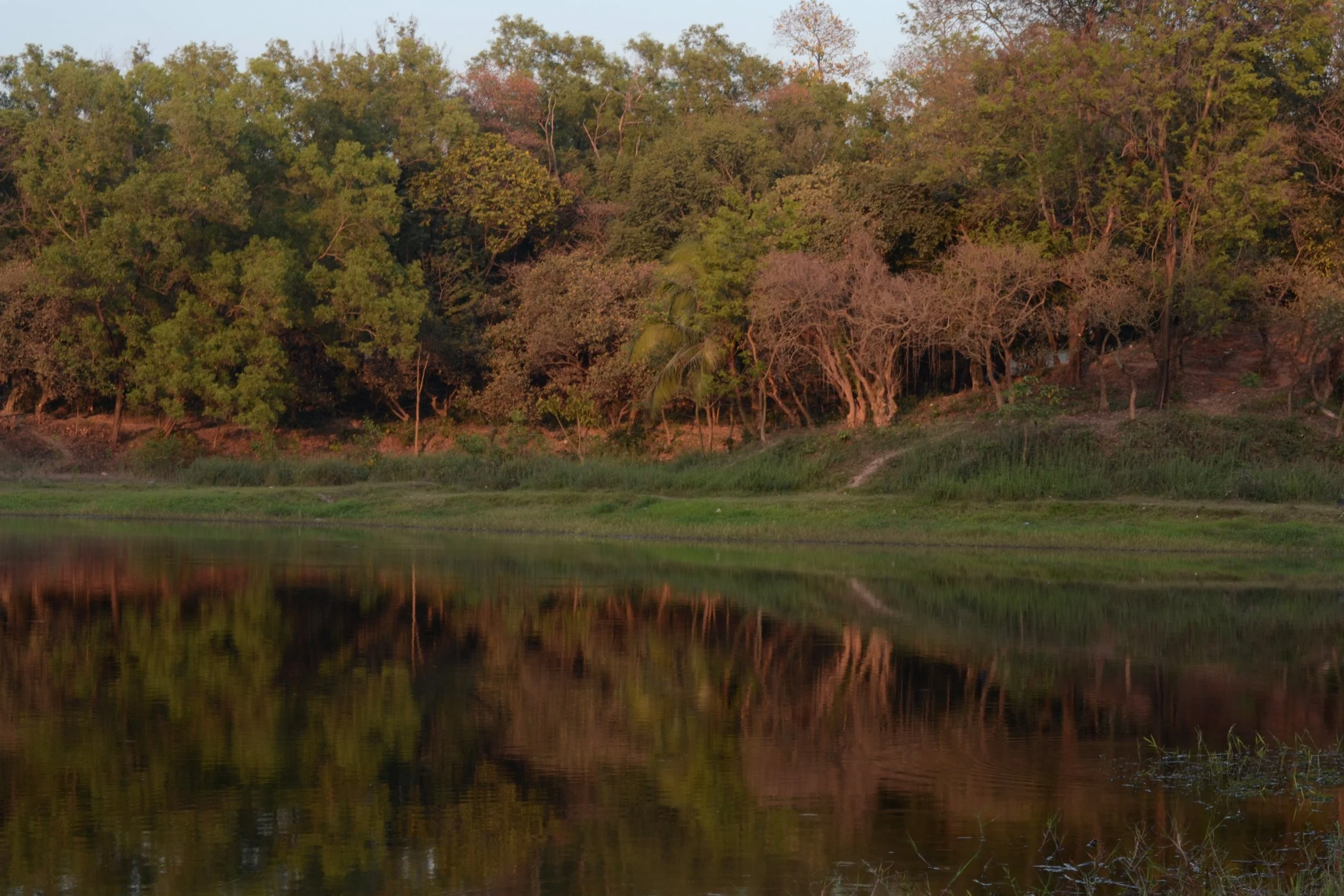 Botanical Garden, Mirpur