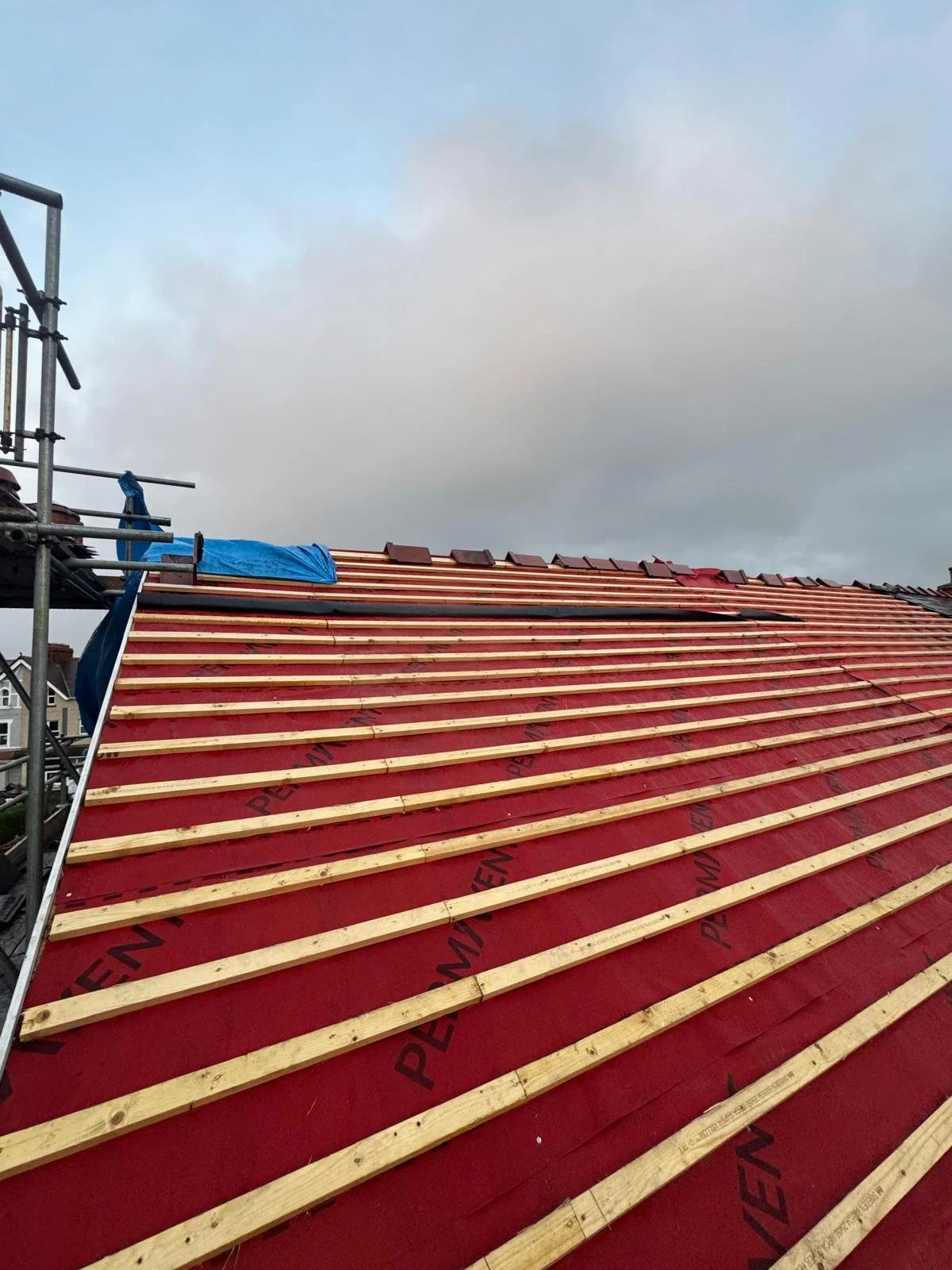 WhatsApp Image 2025-11-12 at 15.31.33 (1).jpeg