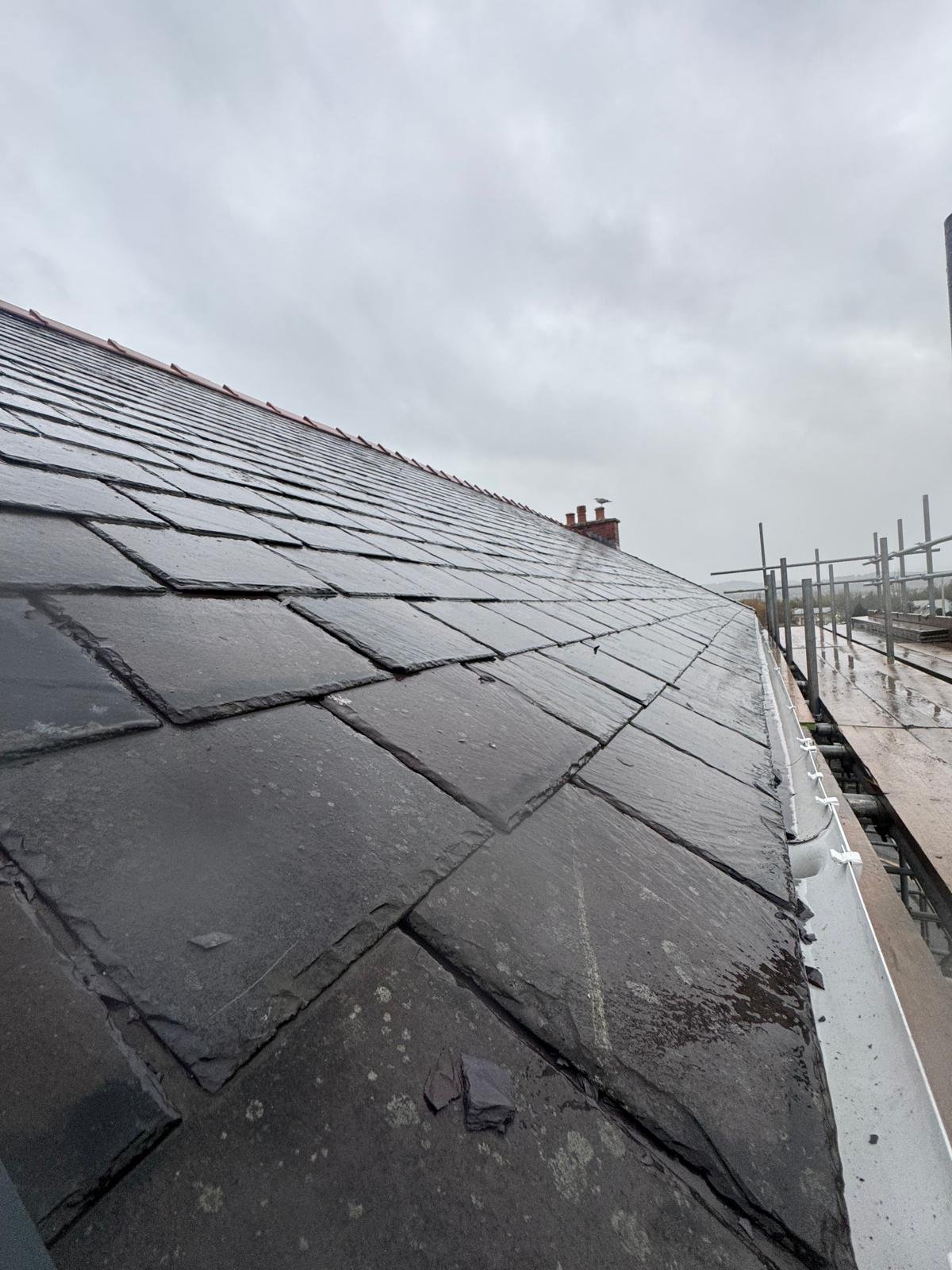 WhatsApp Image 2025-11-12 at 15.31.35.jpeg