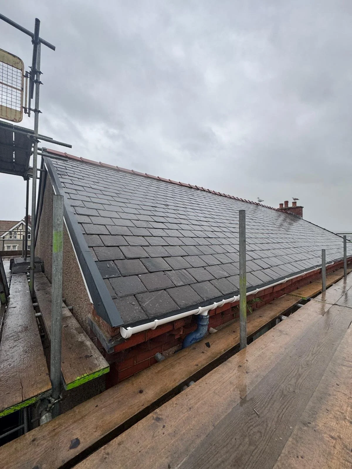 WhatsApp Image 2025-11-12 at 15.31.34 (2).jpeg