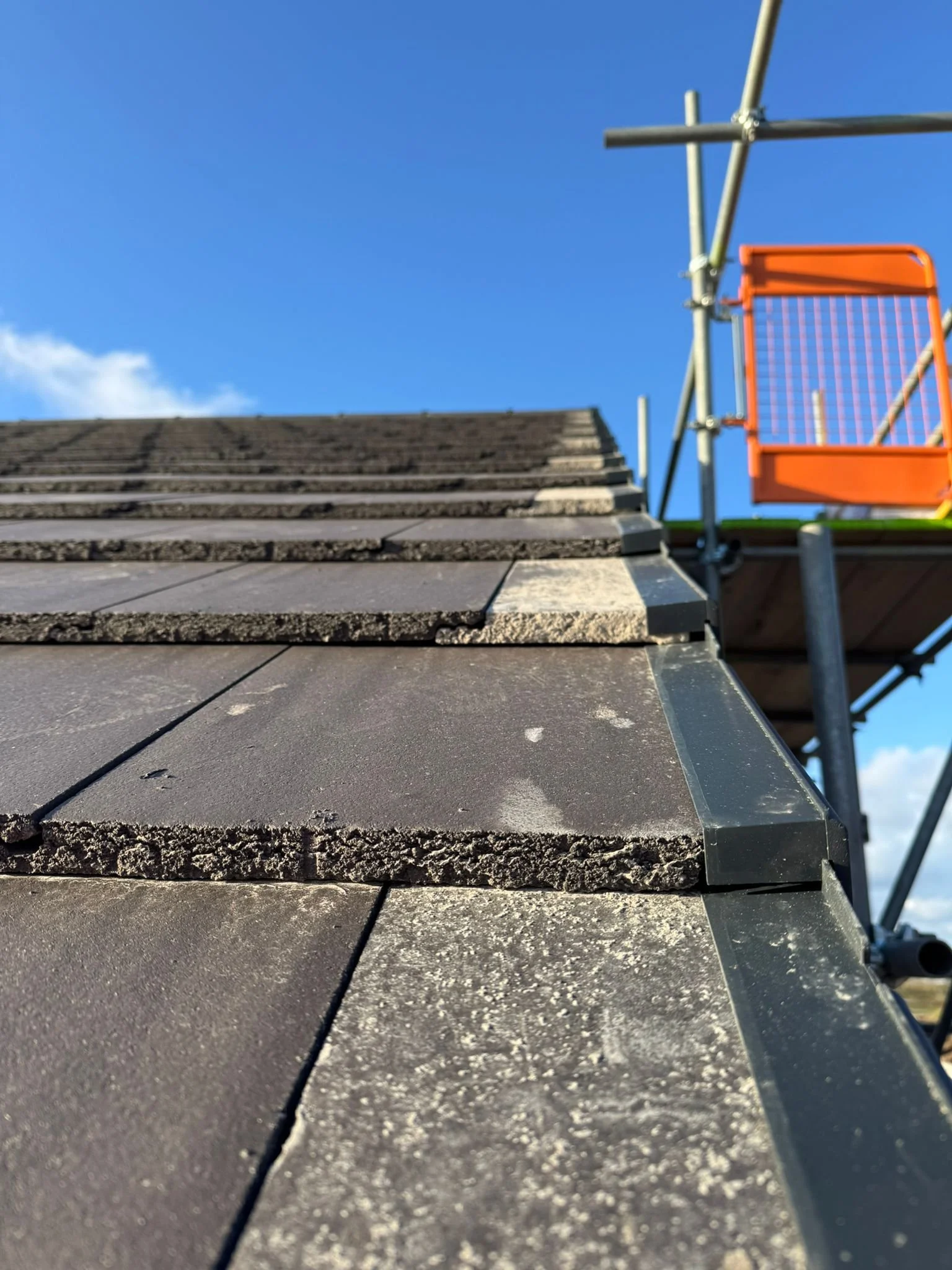 WhatsApp Image 2025-11-20 at 11.37.24.jpeg