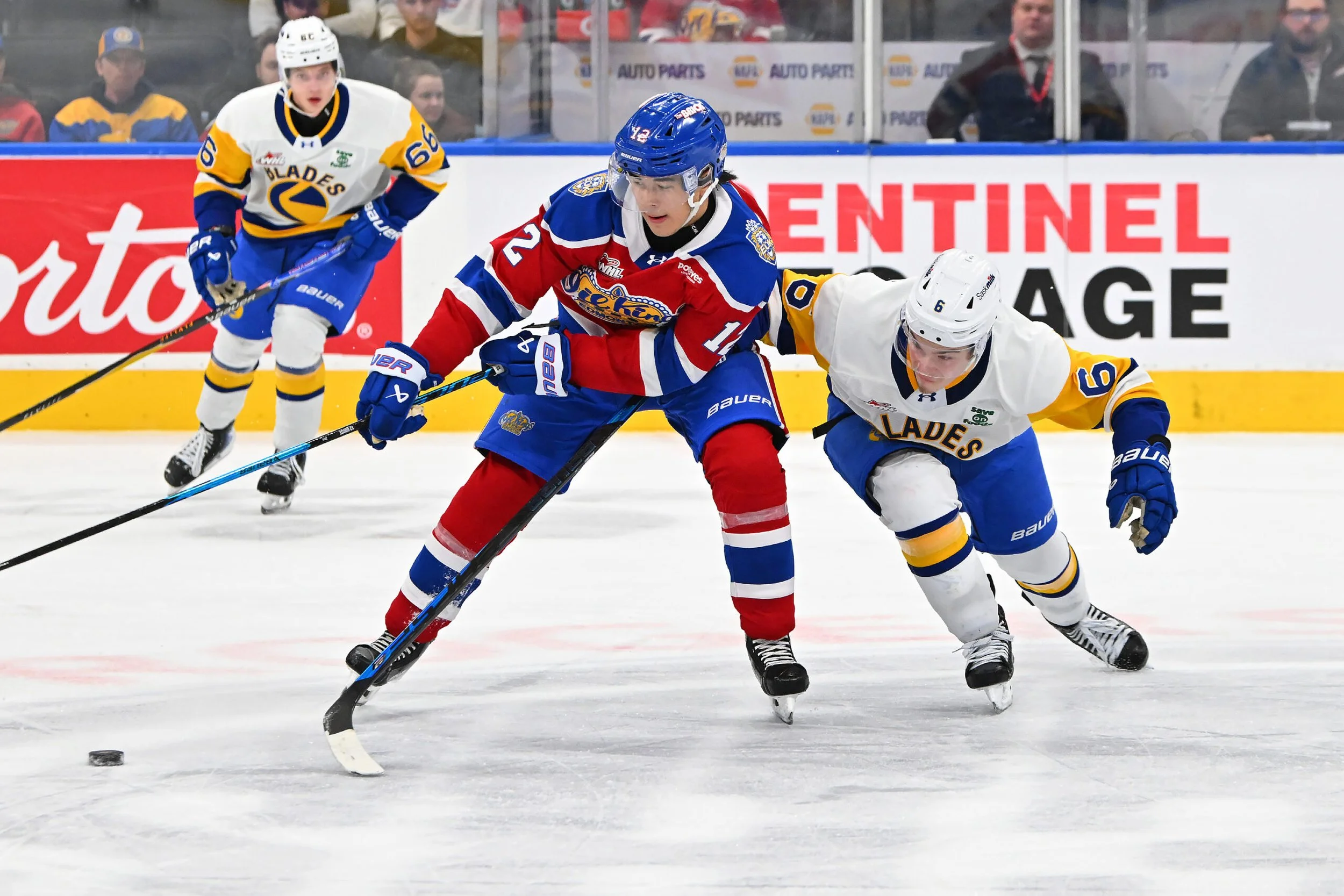 Gojsic scores late winner as Oil Kings beat Blades 3-2