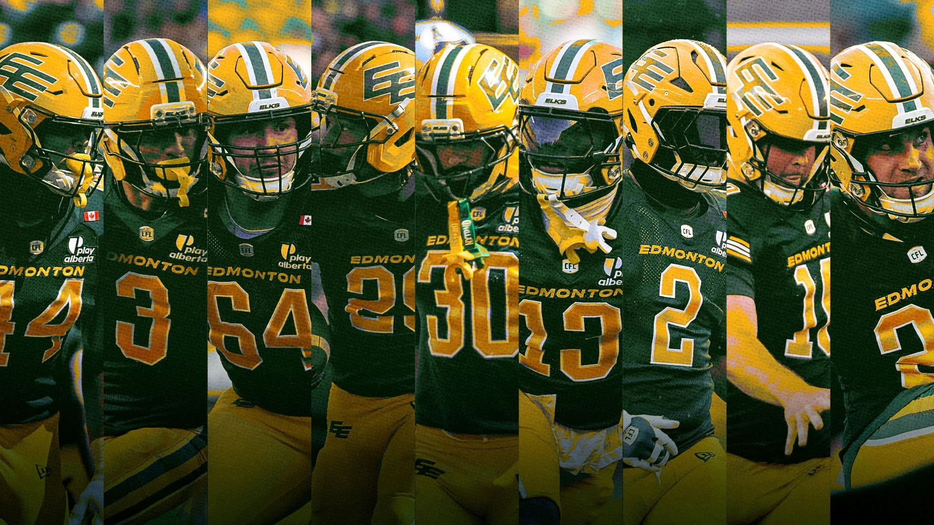 Nine Elks named to West Division All-CFL team