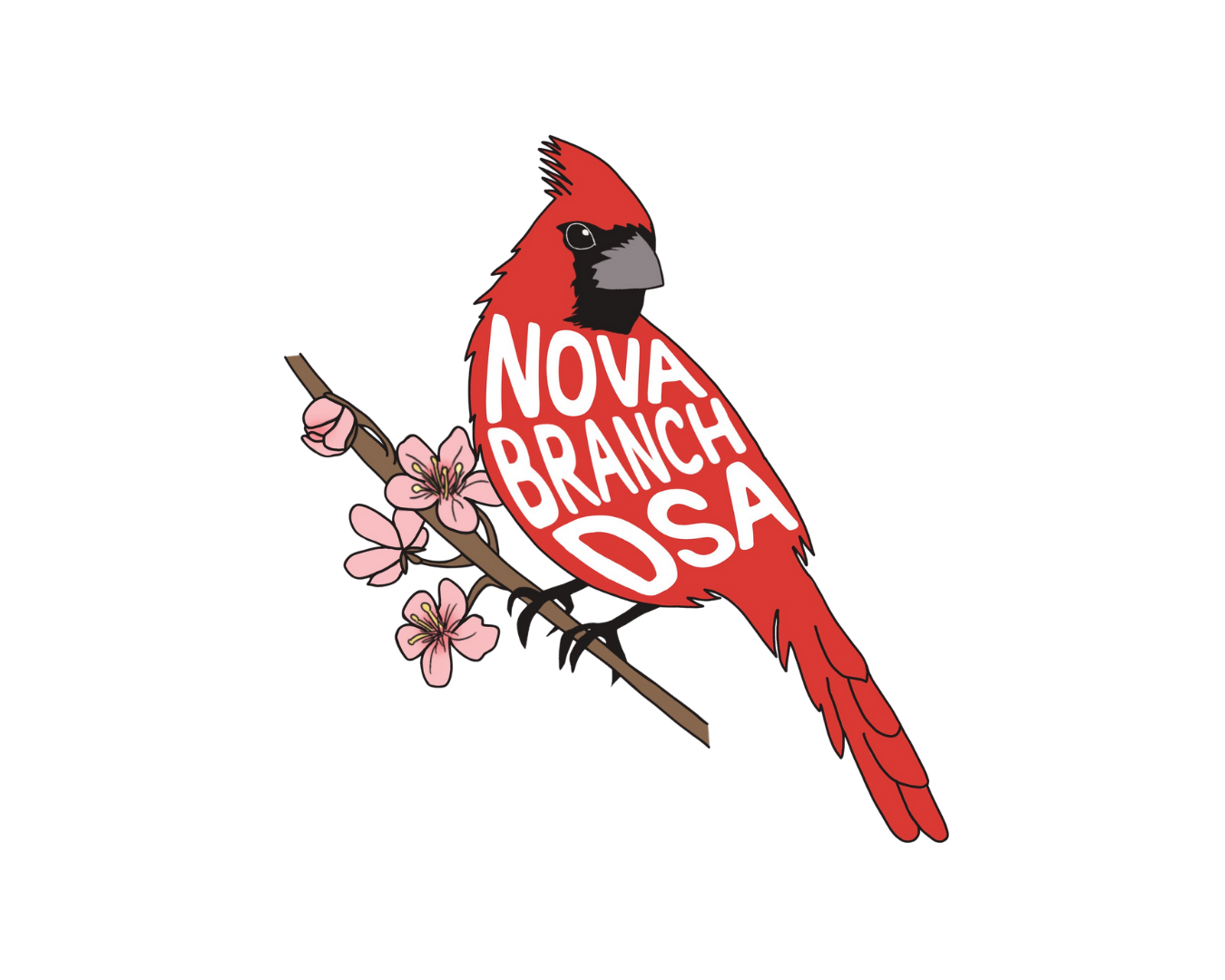Northern Virginia Democratic Socialists of America