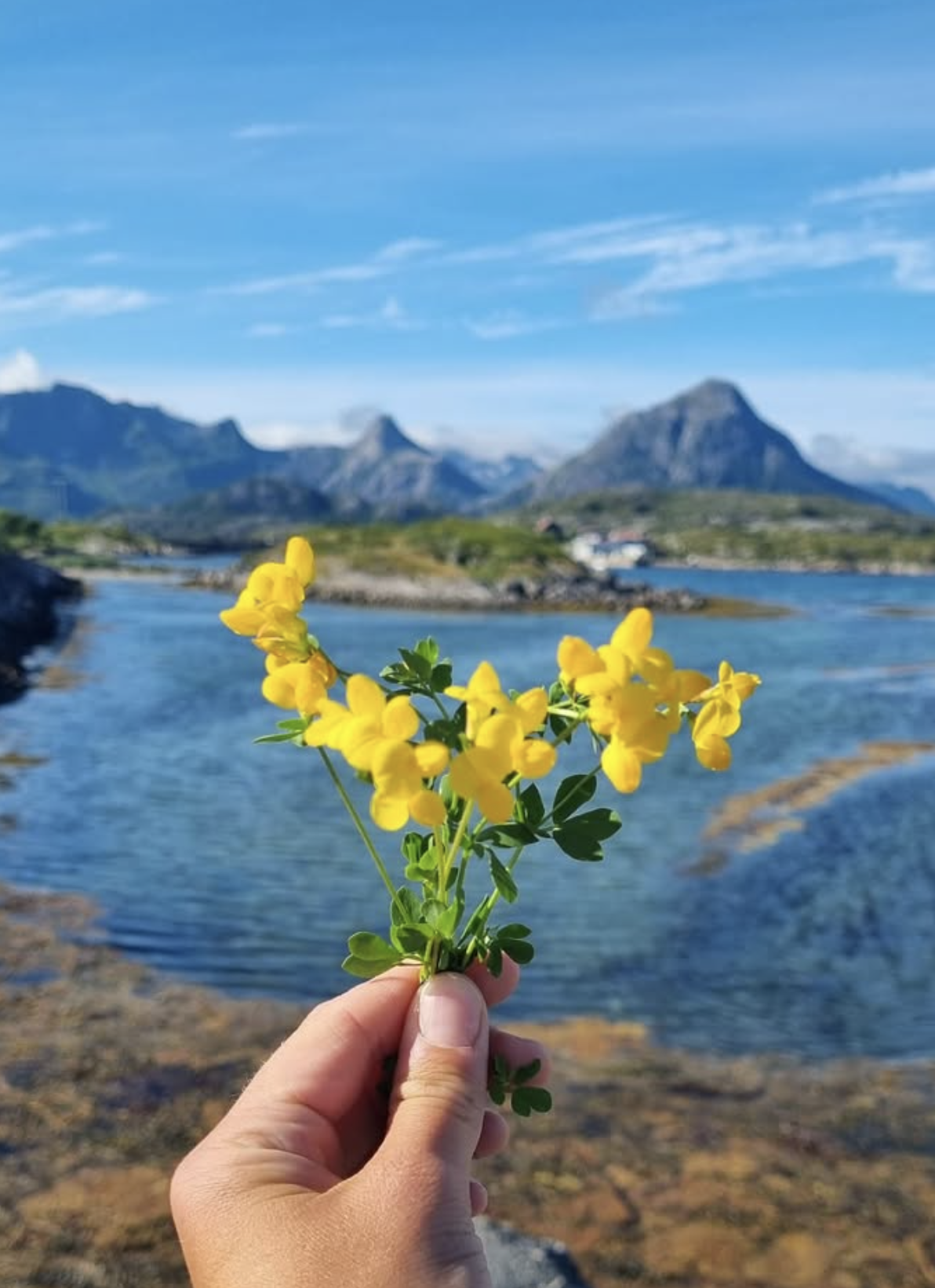 Screenshot 2026-01-23 at 17.53.26.png