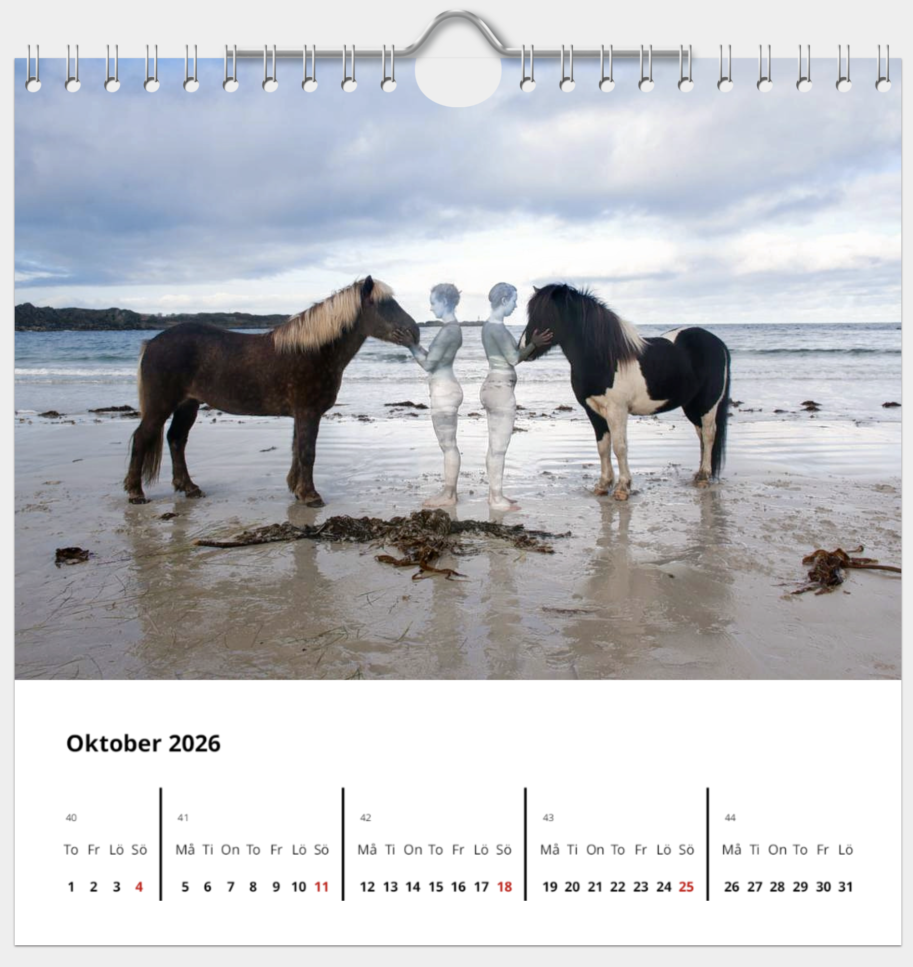 Screenshot 2025-12-08 at 13.42.11.png